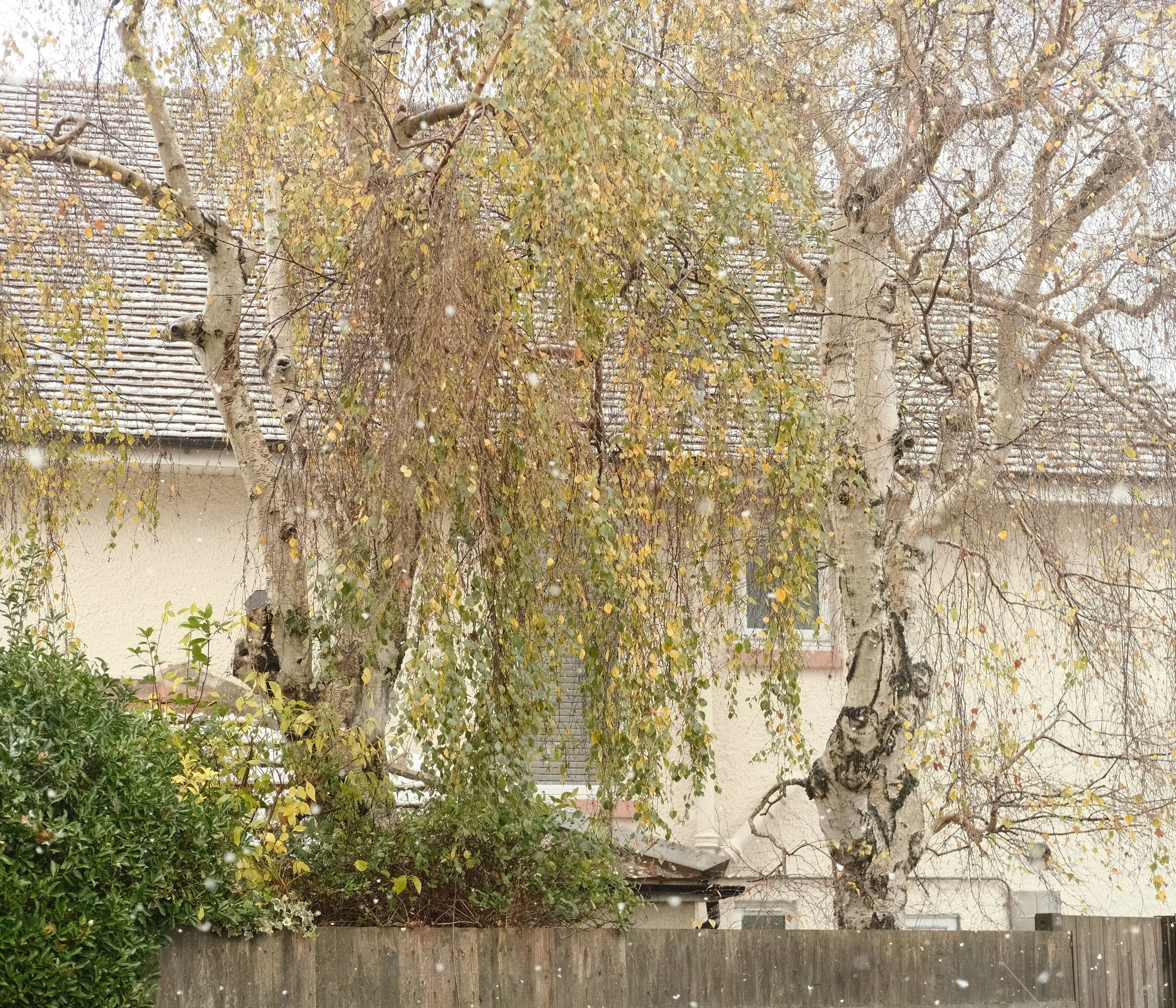 Houses away from home