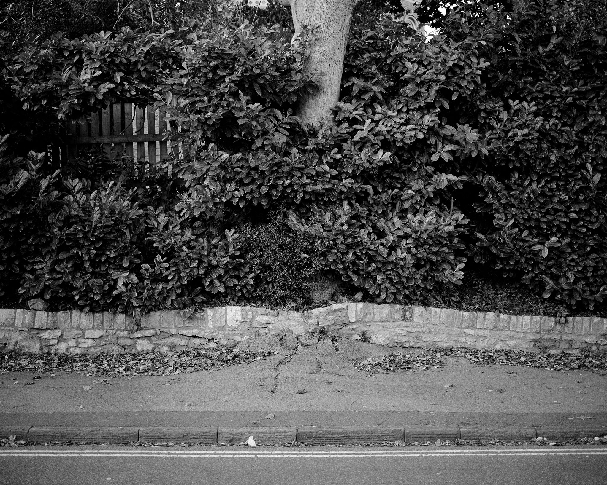 Low res 16.14 copy.jpg