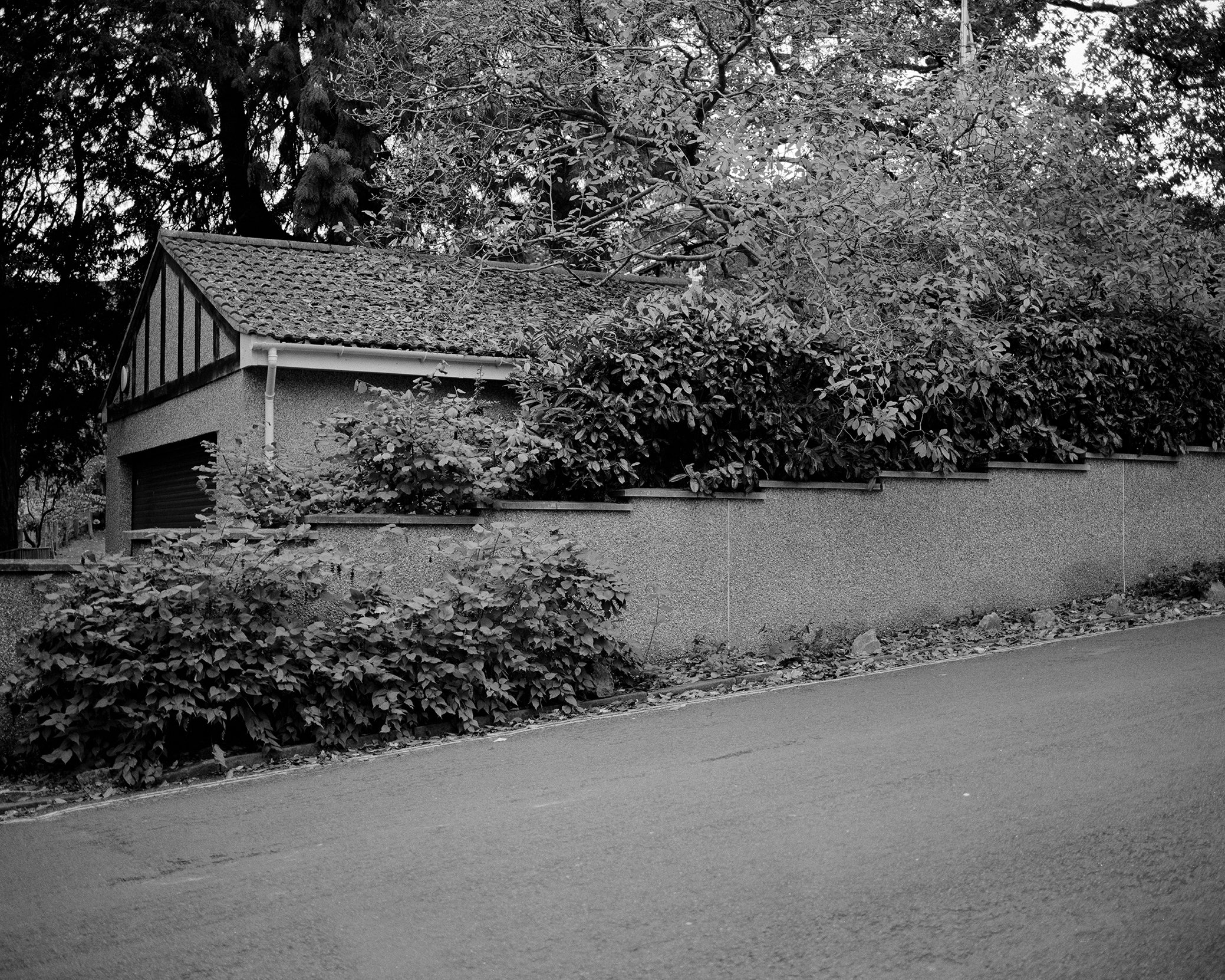 low res16.08 copy 2.jpg