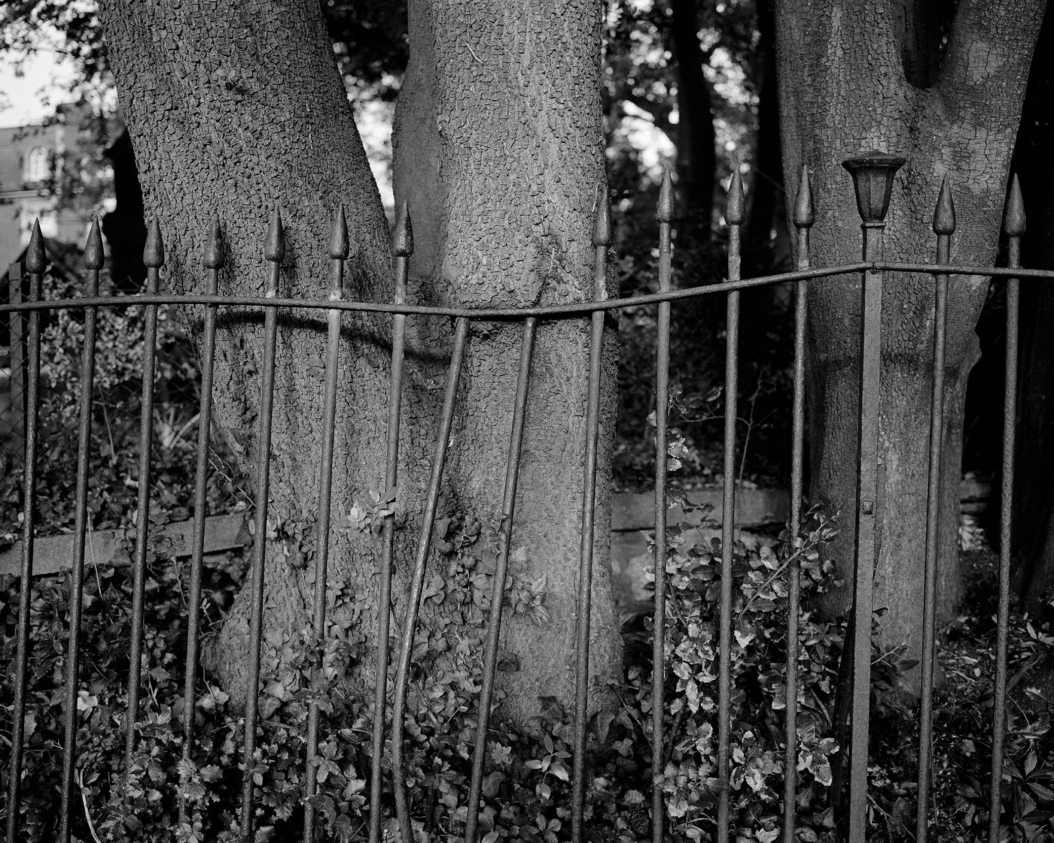 low res 15.50  copy.jpg