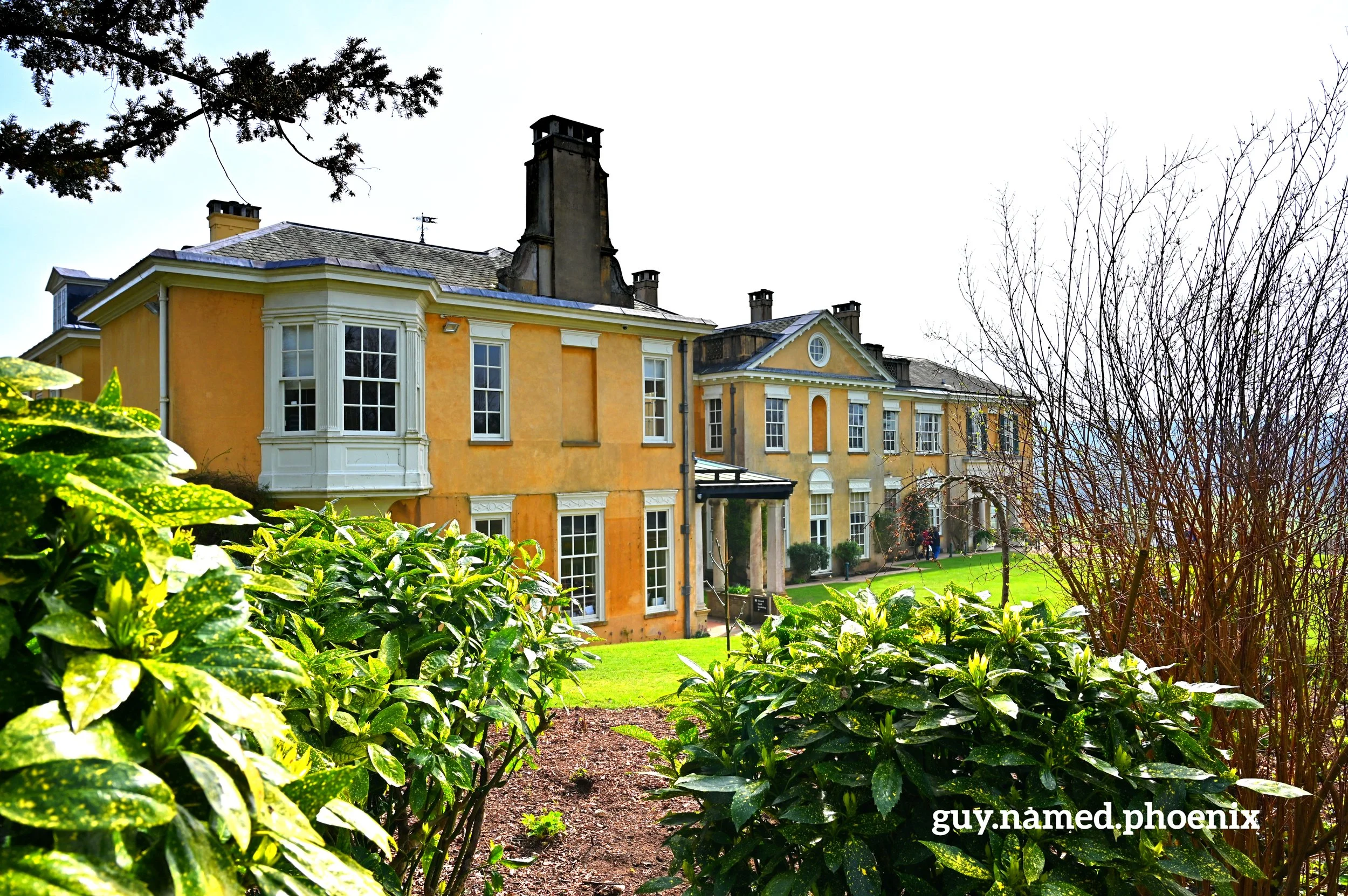 Rear view of Polesden Laces