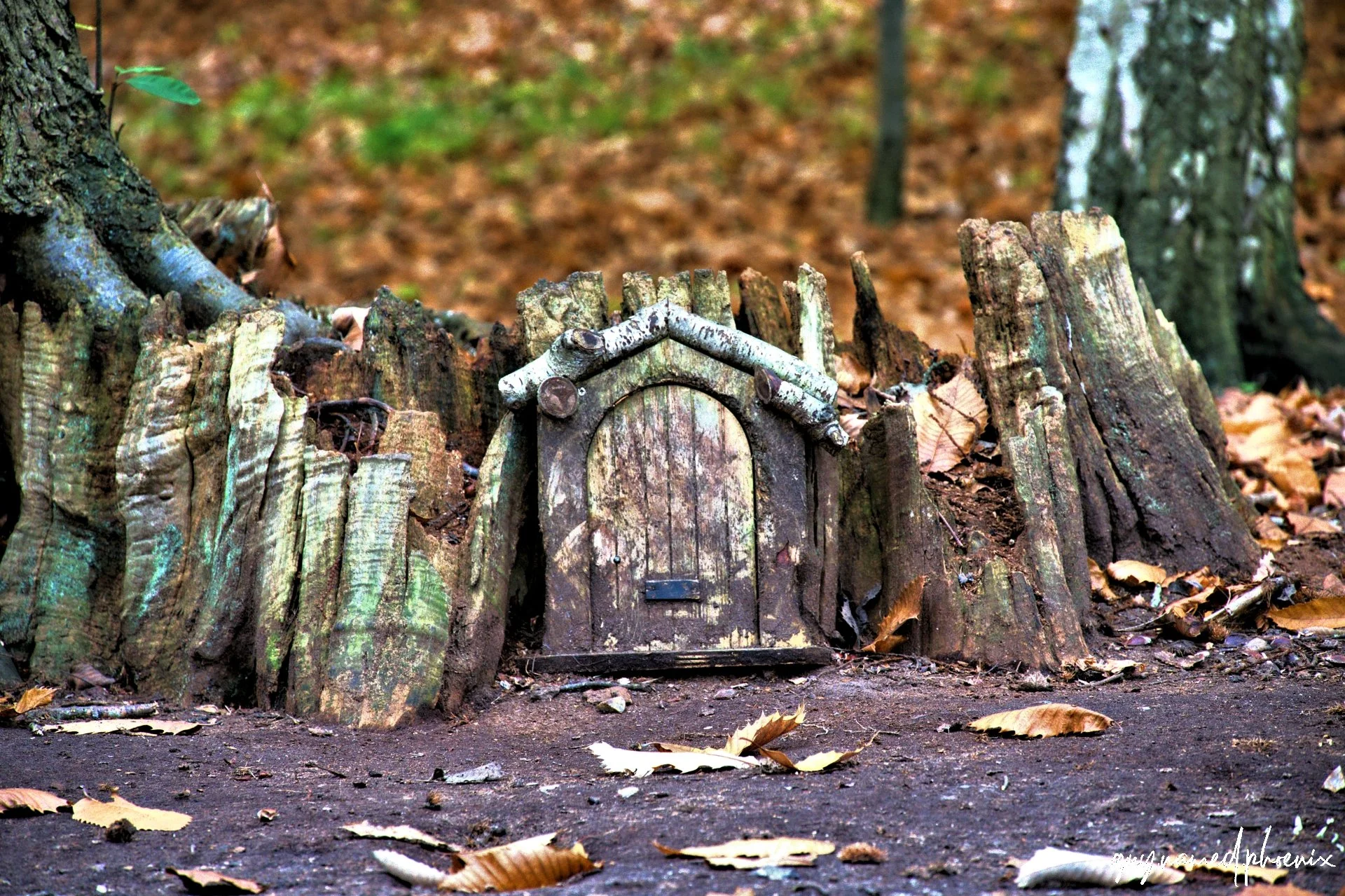 A small, miniature wooden house door set into a weathered wood fence in a forest, surrounded by fallen leaves on the ground.