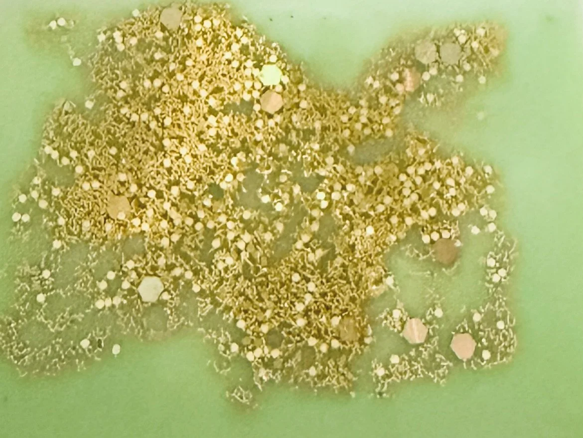 Wax Melt, Single - Clover & Aloe