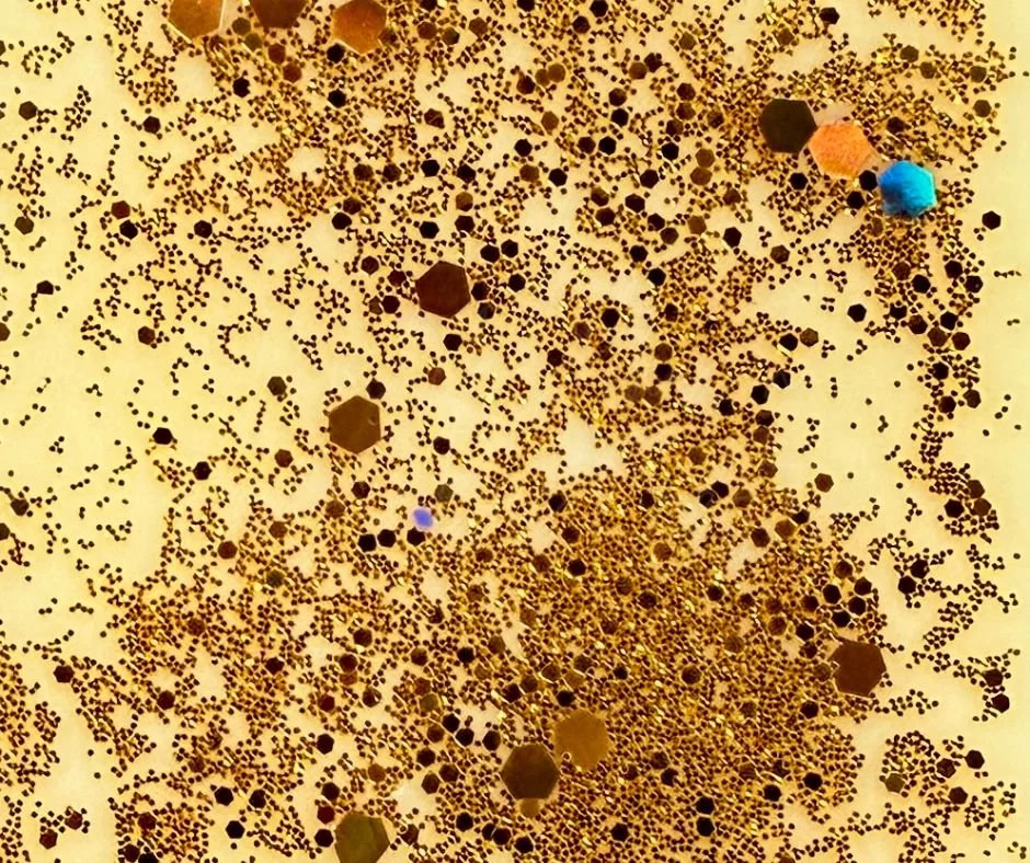 Wax Melts, 6 pack - Sweet Meyer Lemon