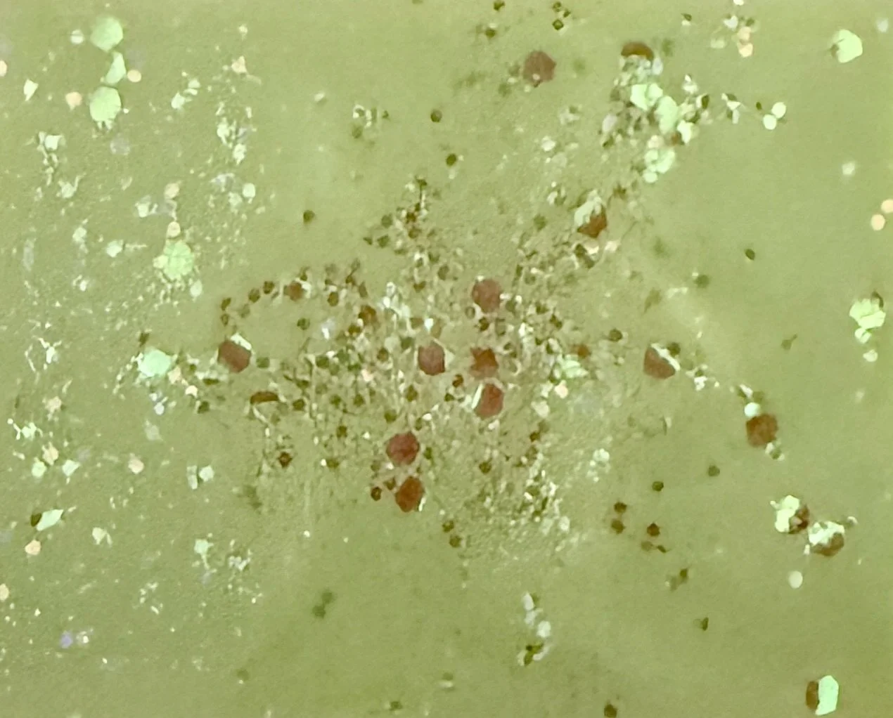 Wax Melts, 6 pack - Sugar Pop