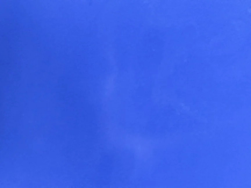 Wax Melt, Single - Lemon & Lavender