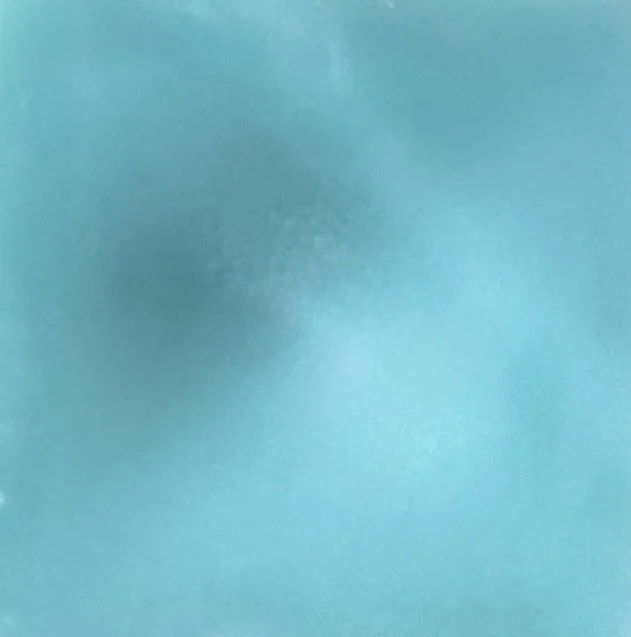 Wax Melt, Single - Timber Potchouli