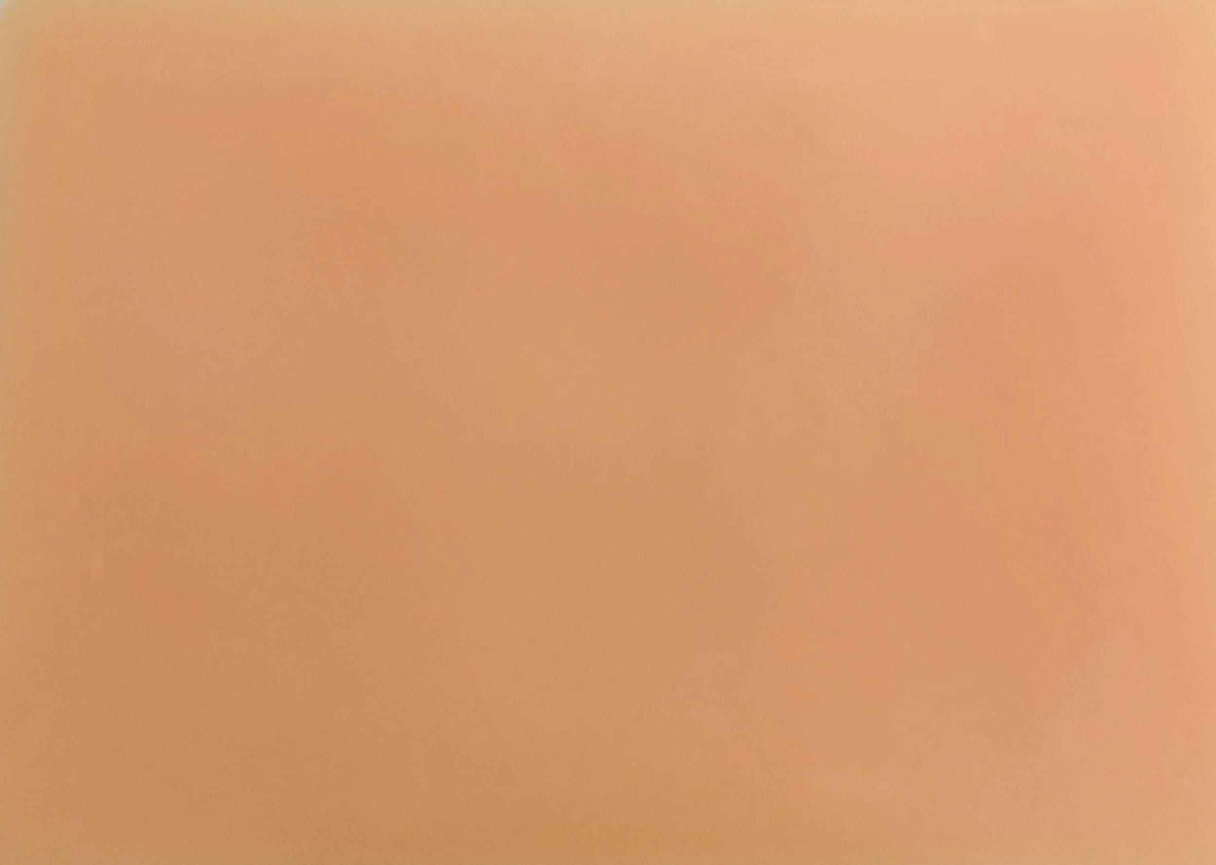 Wax Melts, 6 pack - Cactus Flower