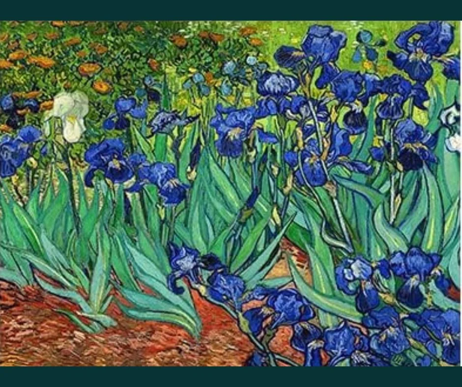 Diamond Art Kit - Irises #1