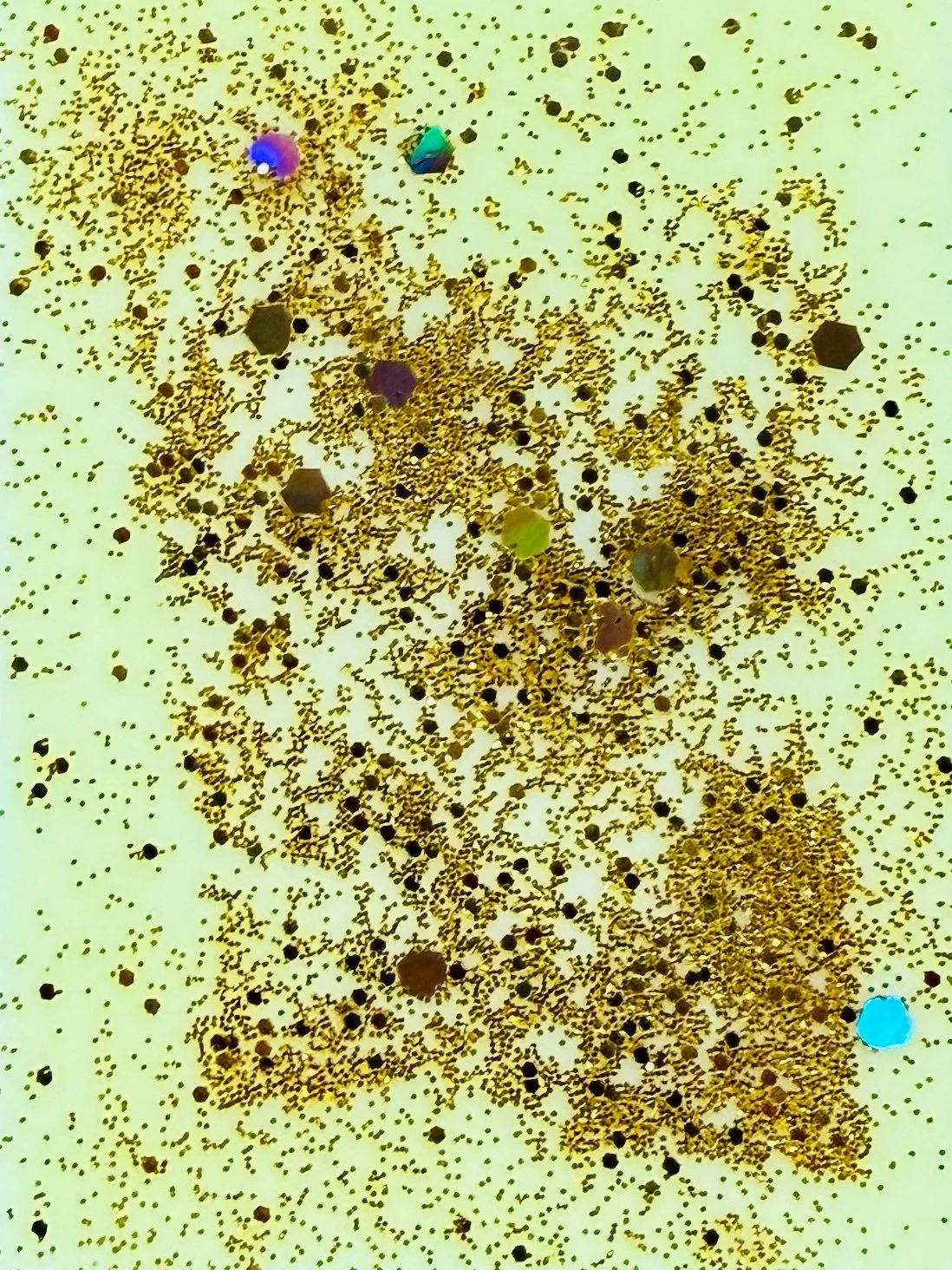 Wax Melts, 6 pack - Sweet Meyer Lemon