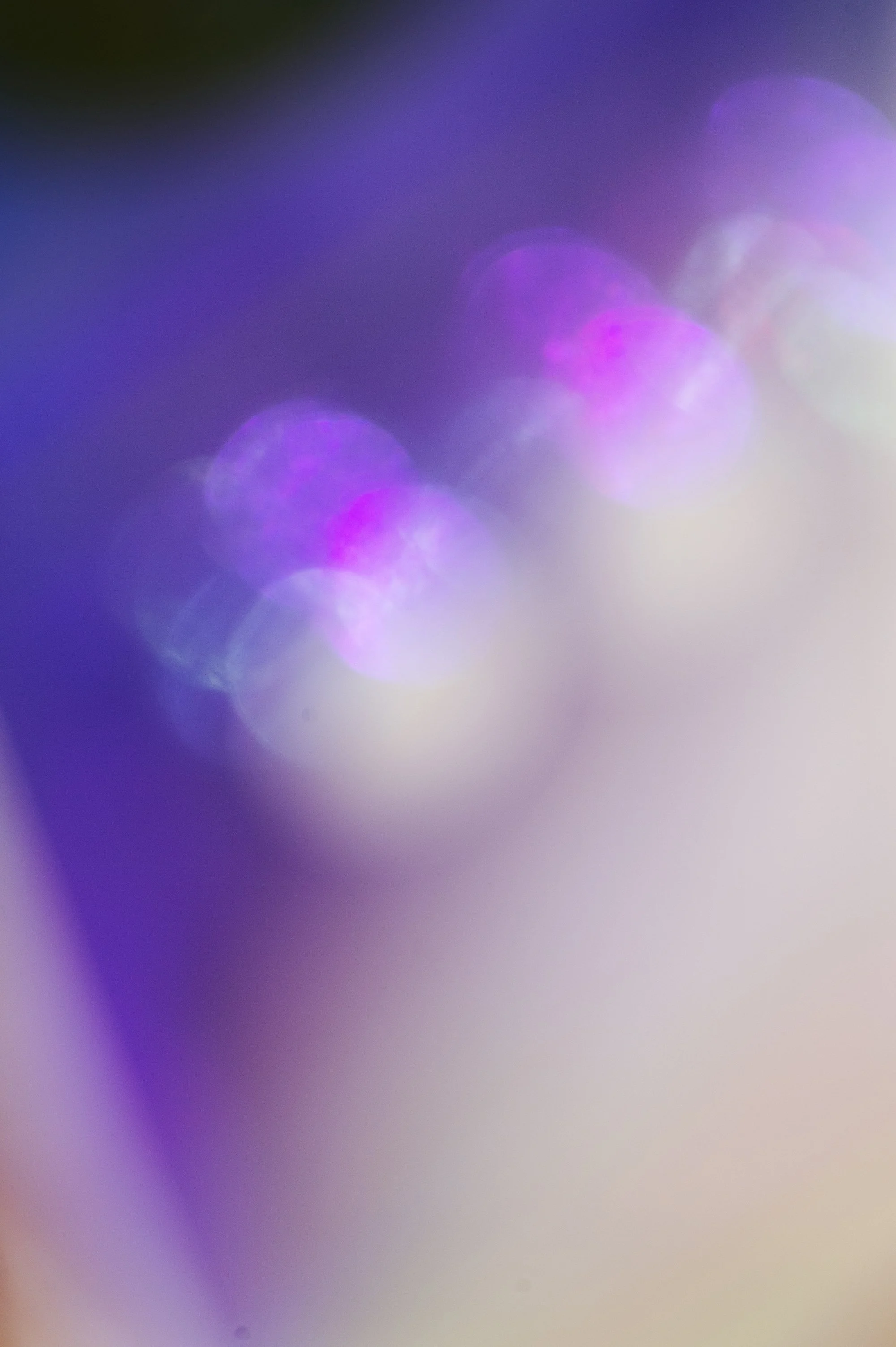 _DSC8156a_s.jpg