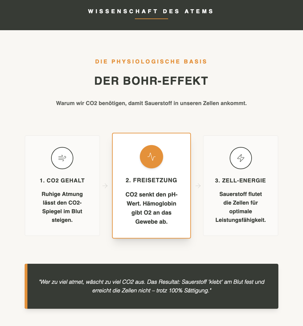 BOHR EFFEKT