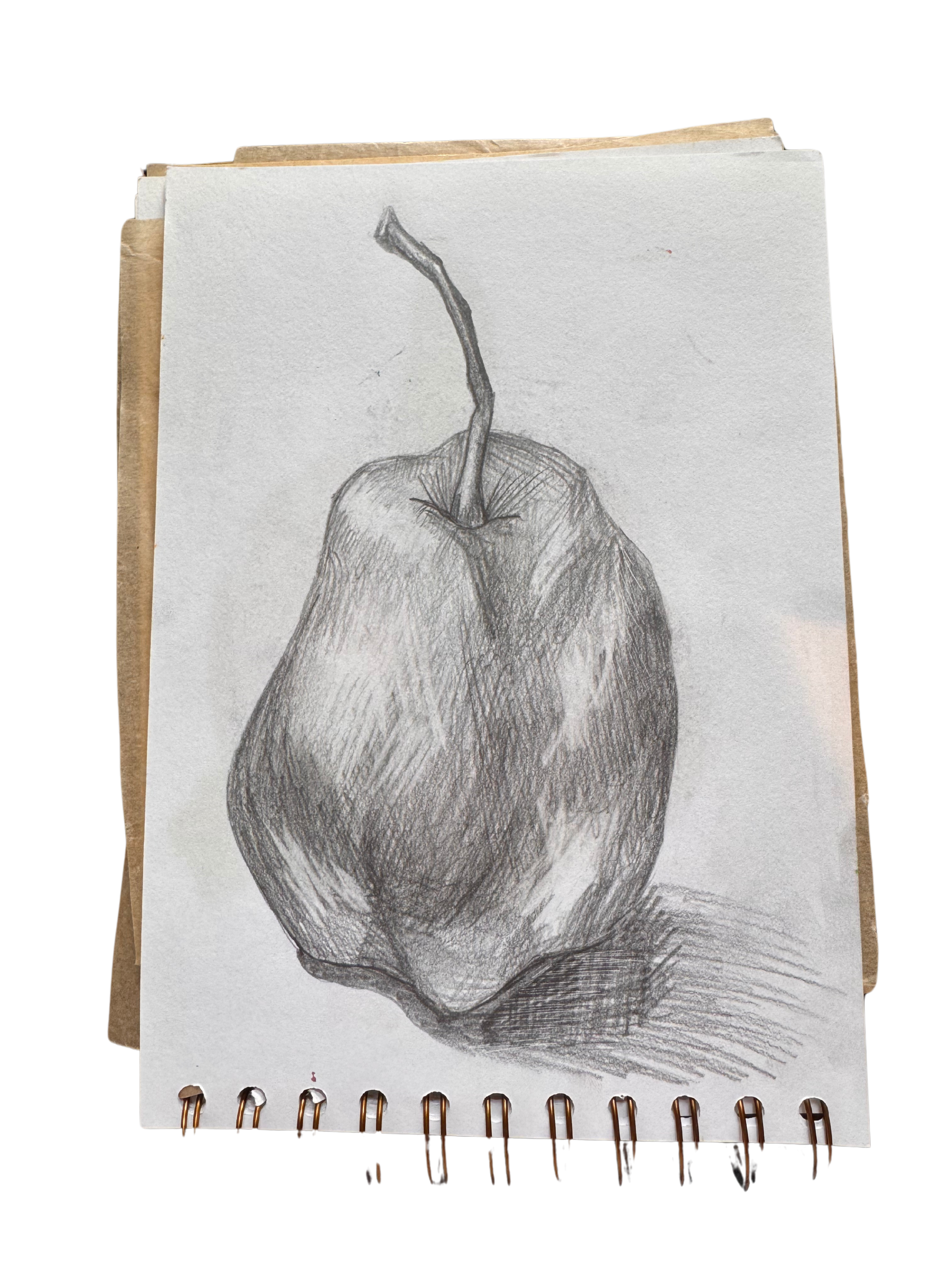 Pear in pencil.