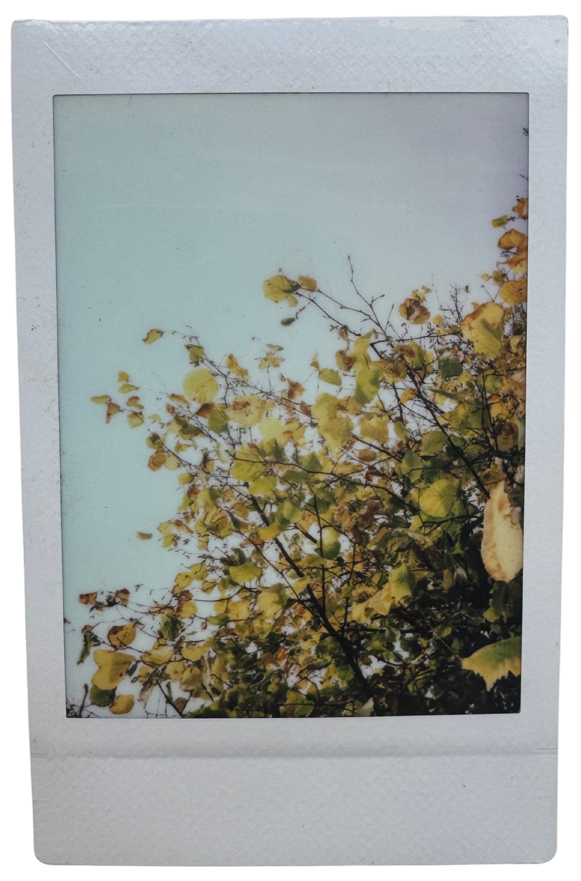 Yeovil, 2019.
