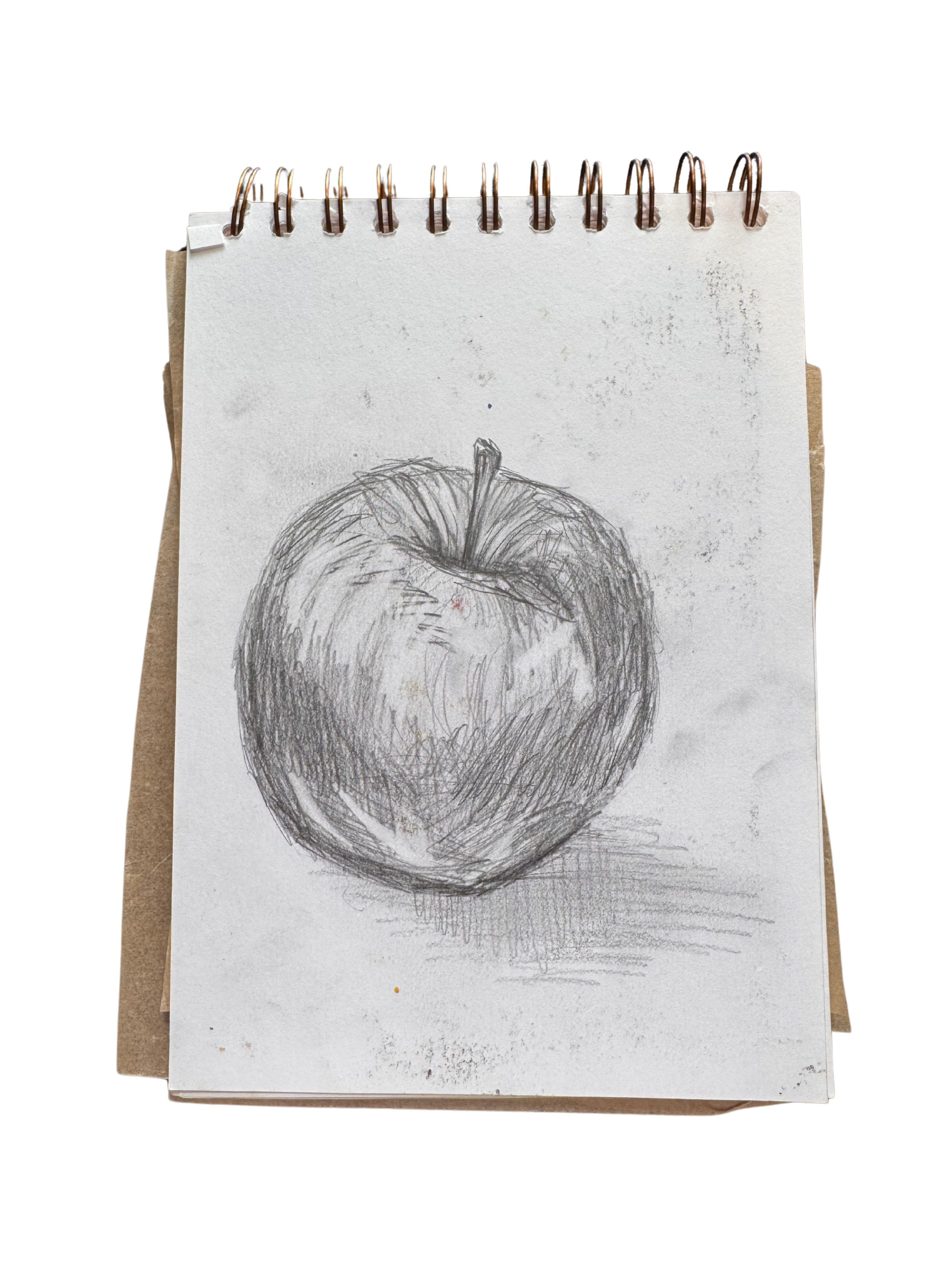 Apple in pencil.