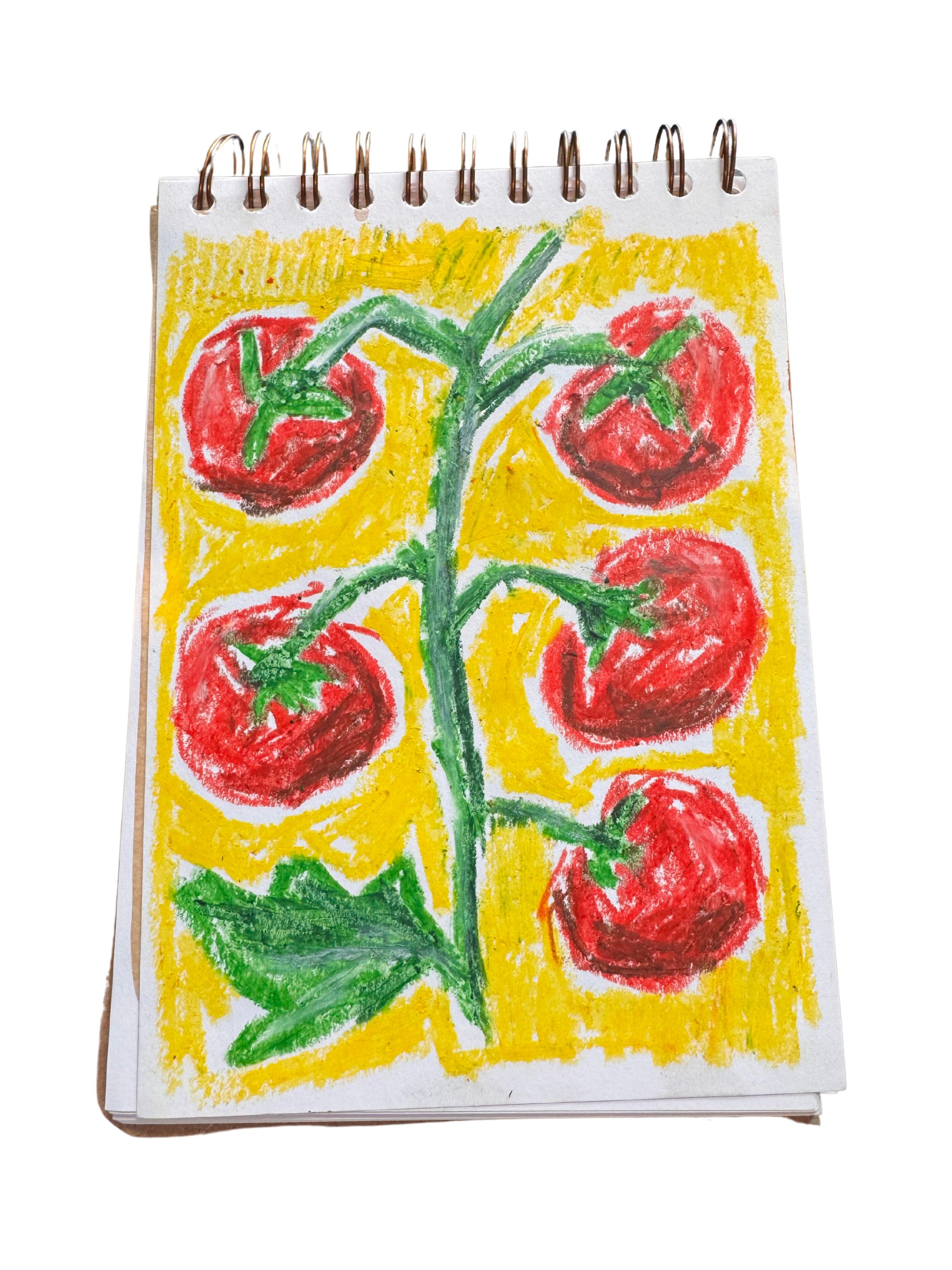 Tomato vine in oil pastel.