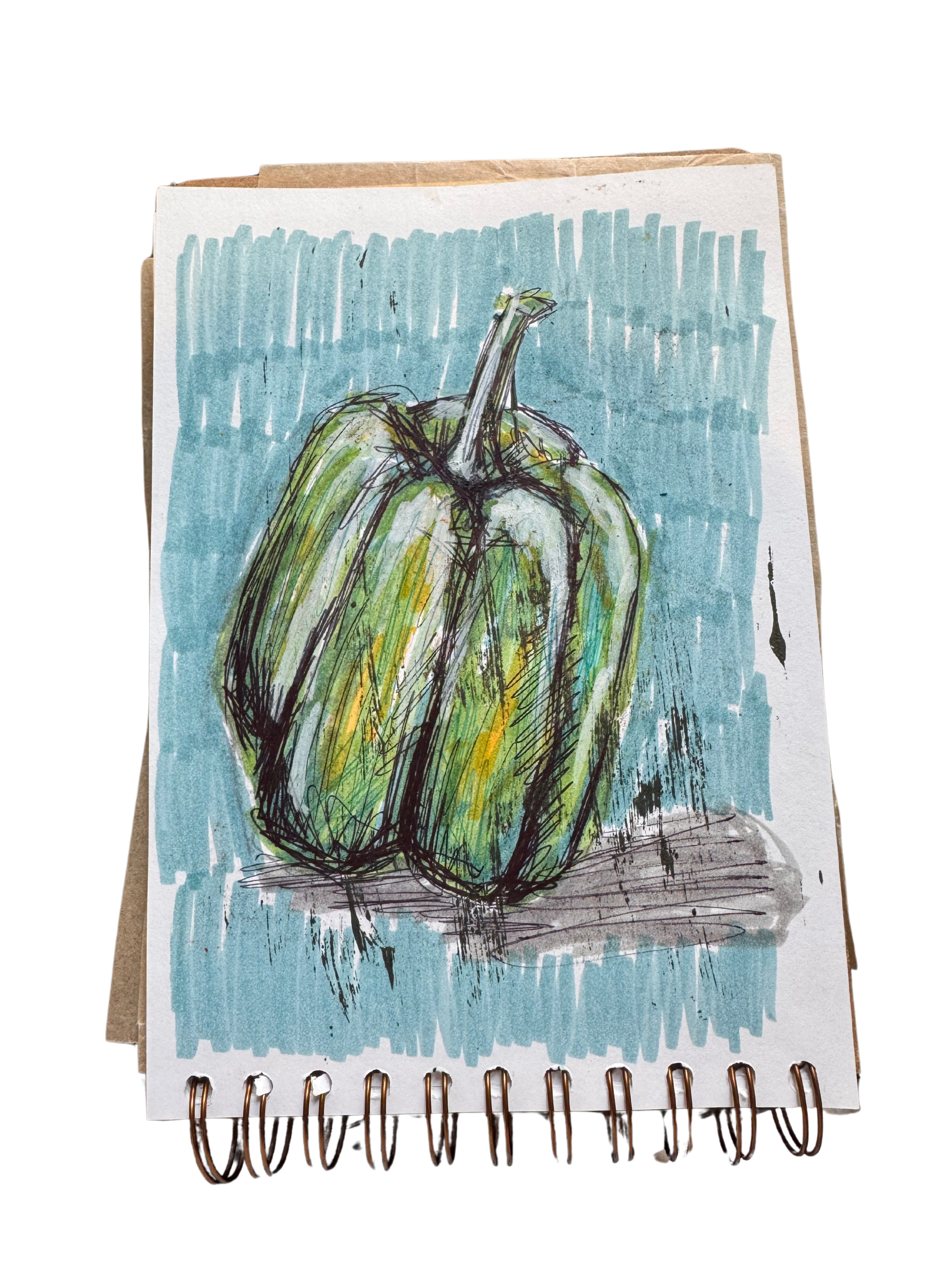 Bell pepper in pen and felt tip.
