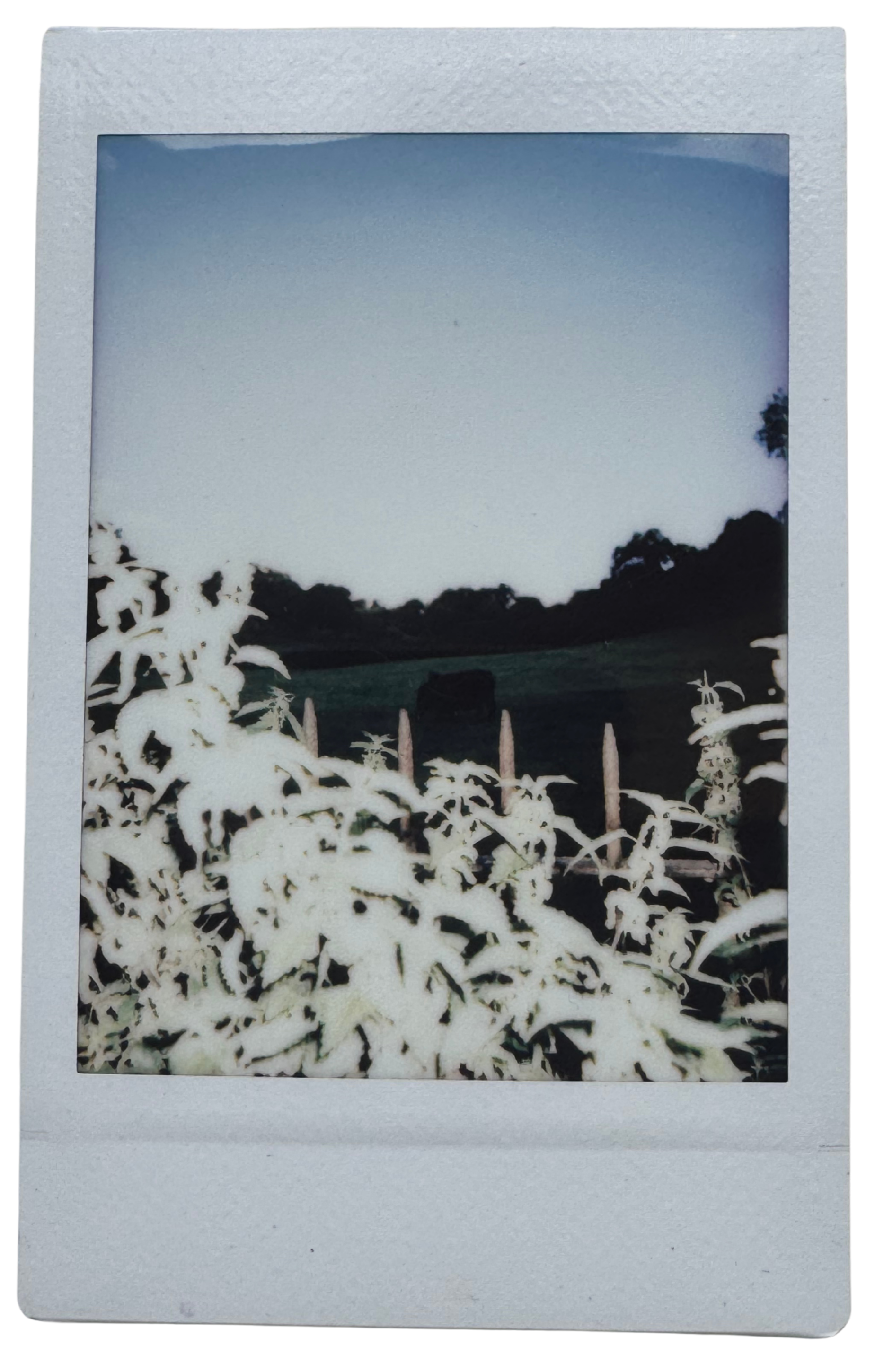 Yeovil, 2018.
