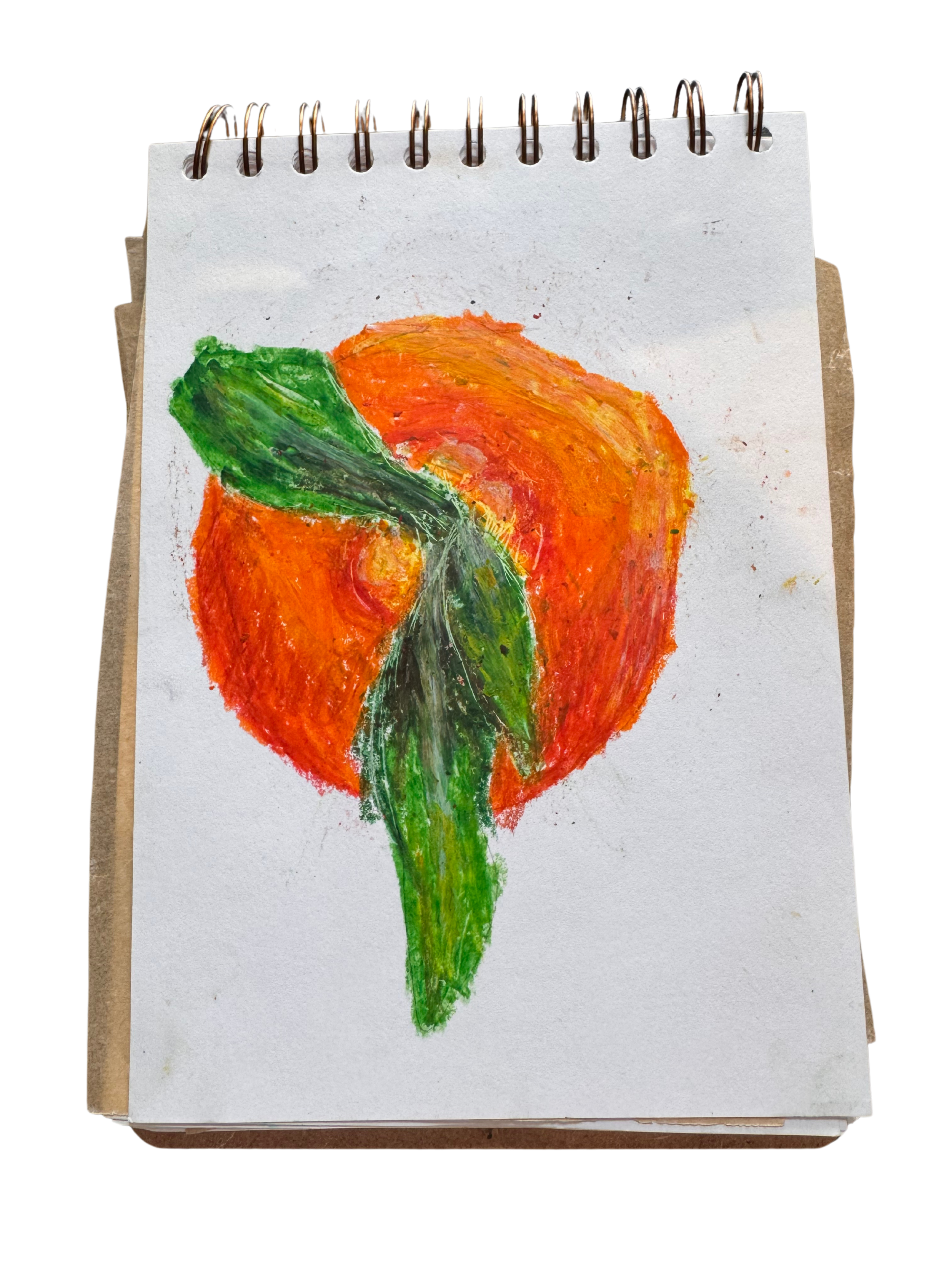 Orange from above in oil pastel.
