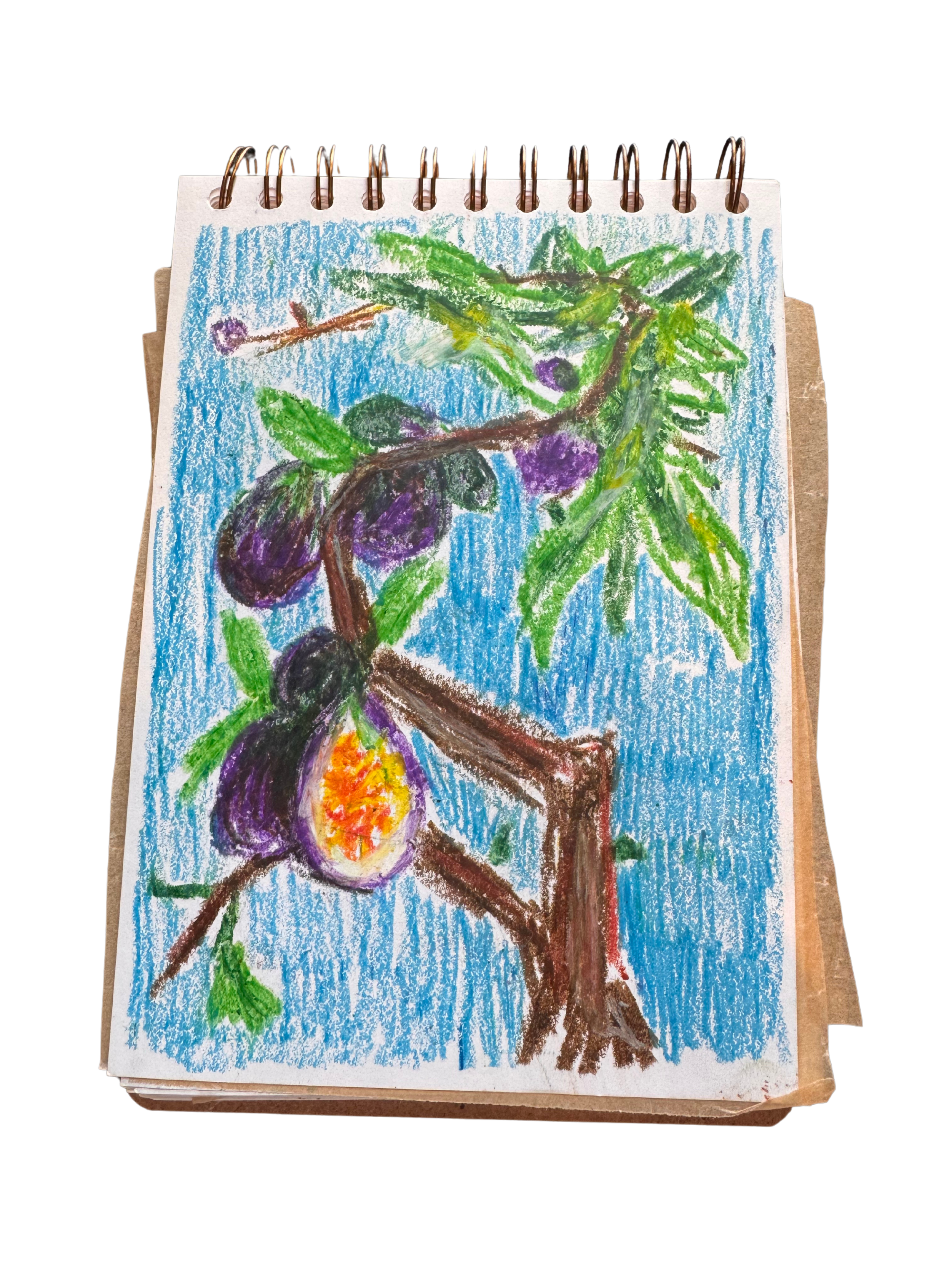 Figs in oil pastel.