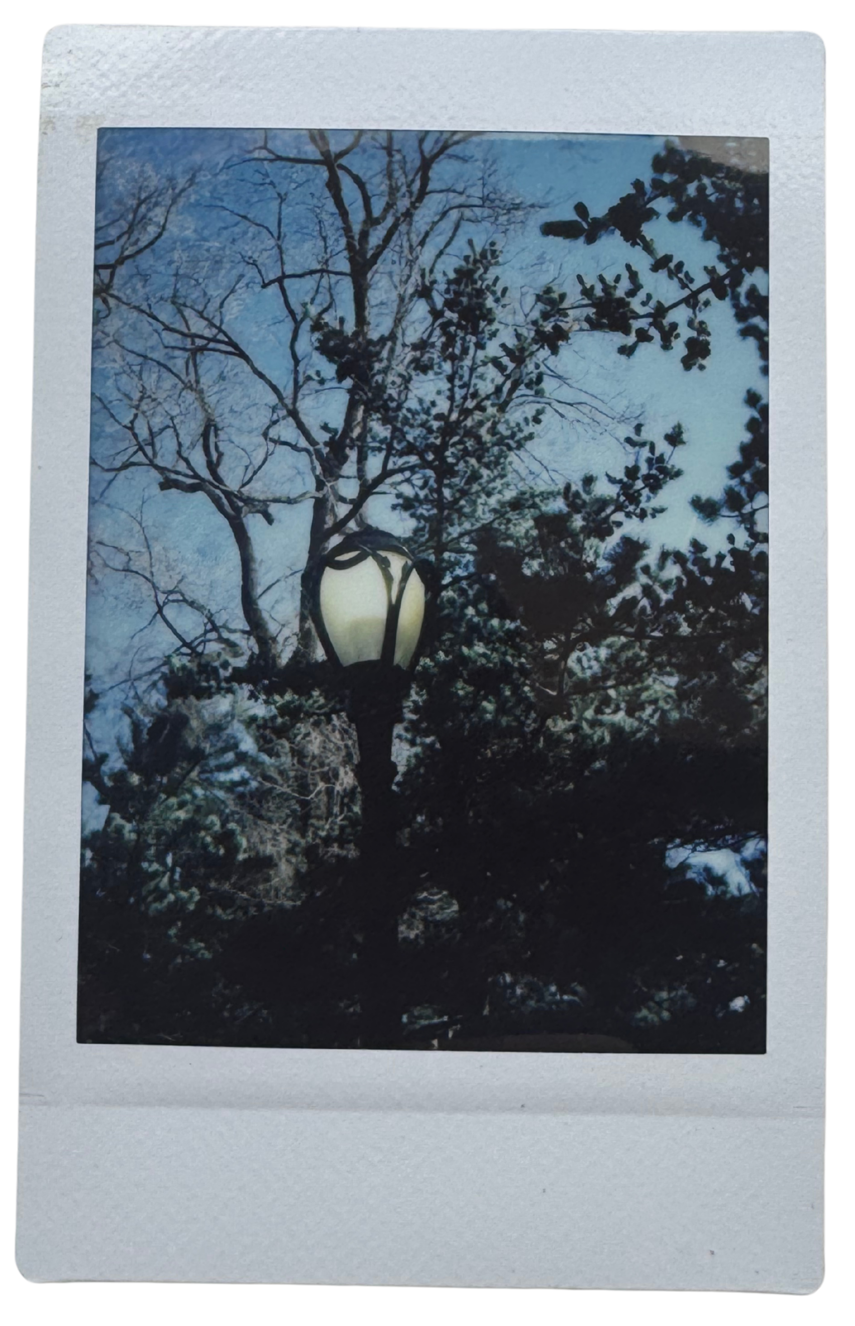 IMG_8438 - Edited.png