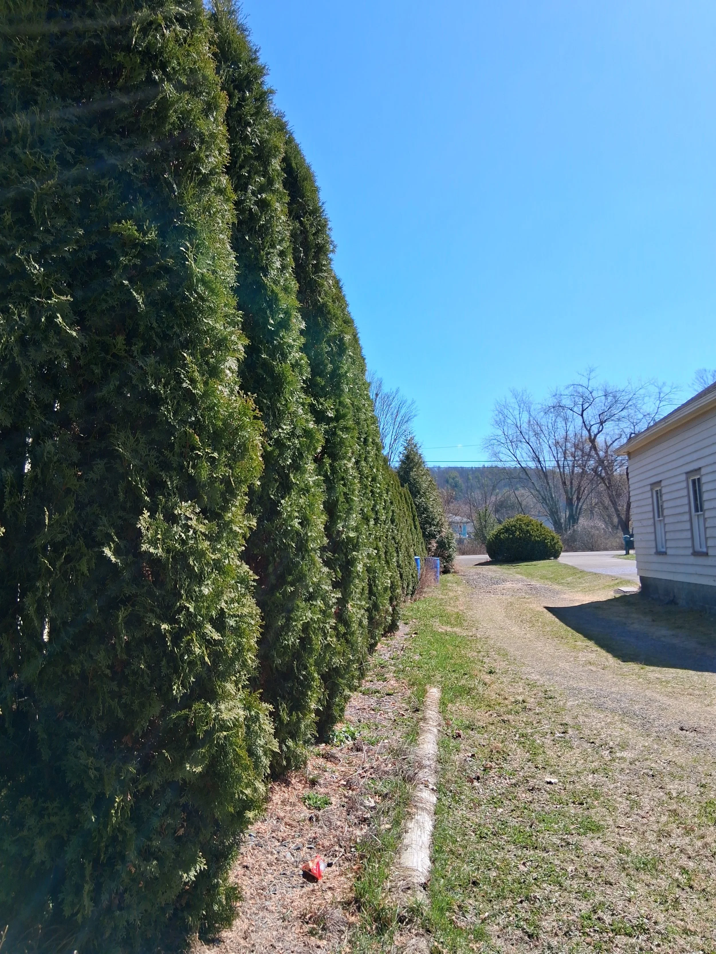 20260324_120322.jpg