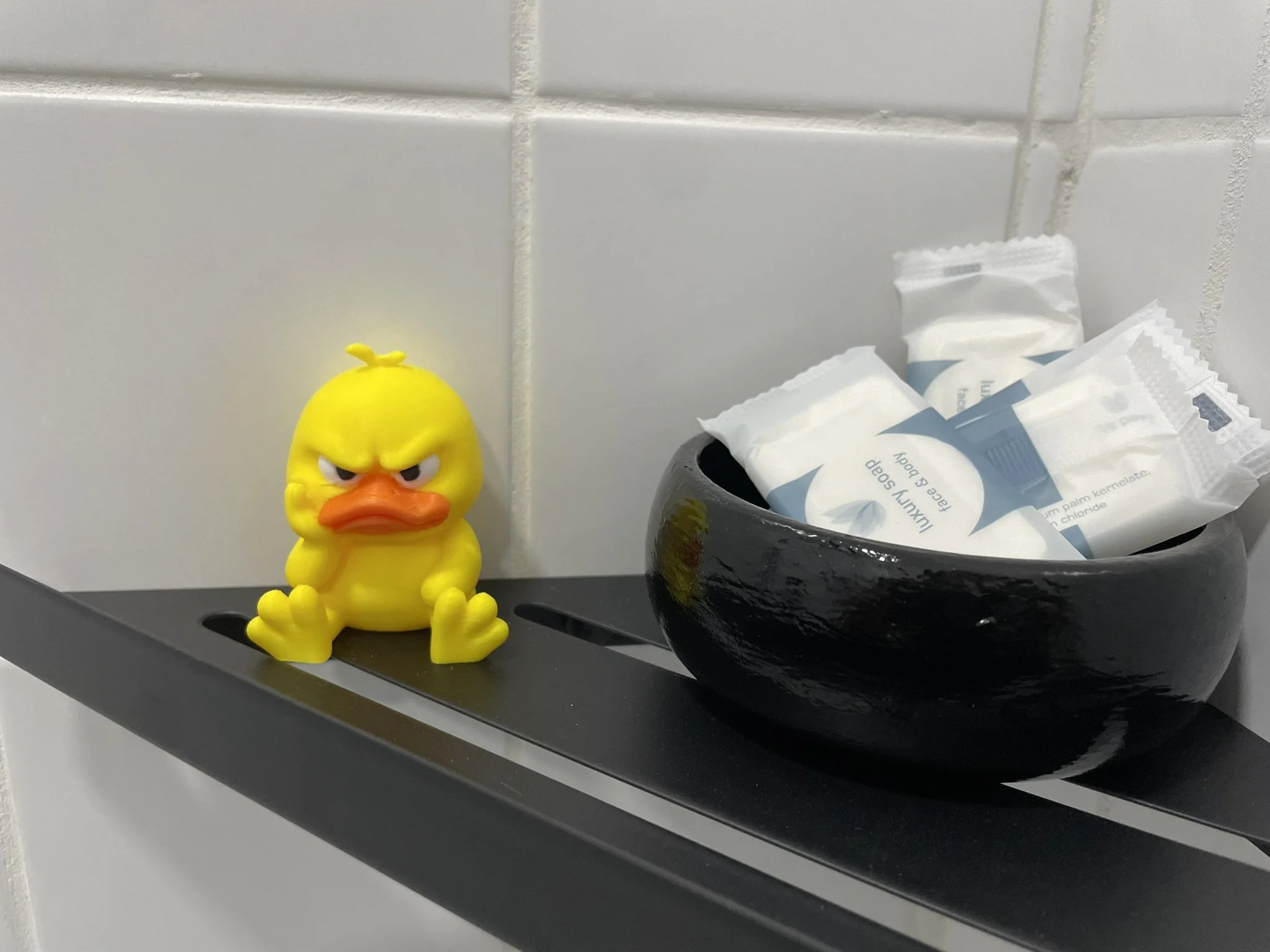 IMG_8559.JPEG