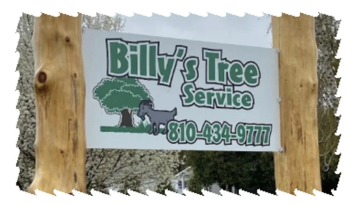 Sign for Billy's Tree Service with a tree and a donkey illustration, and a phone number 810-434-9777.