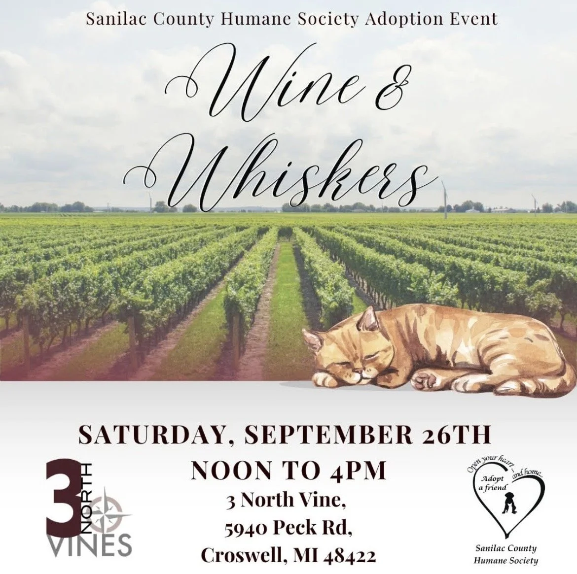 Wine and Whiskers