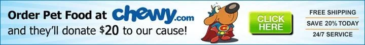 Chewy.com advertisement for pet food with a cartoon dog, green CLICK HERE button, and offers for free shipping, 20% discount today, and 24/7 service.