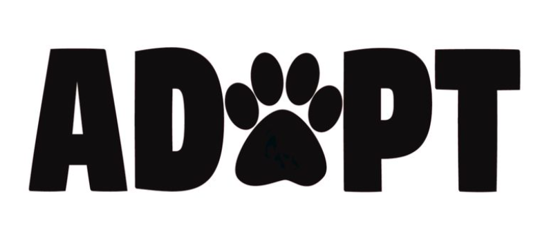 Word 'ADOPT' with the letter 'O' replaced by a black paw print.