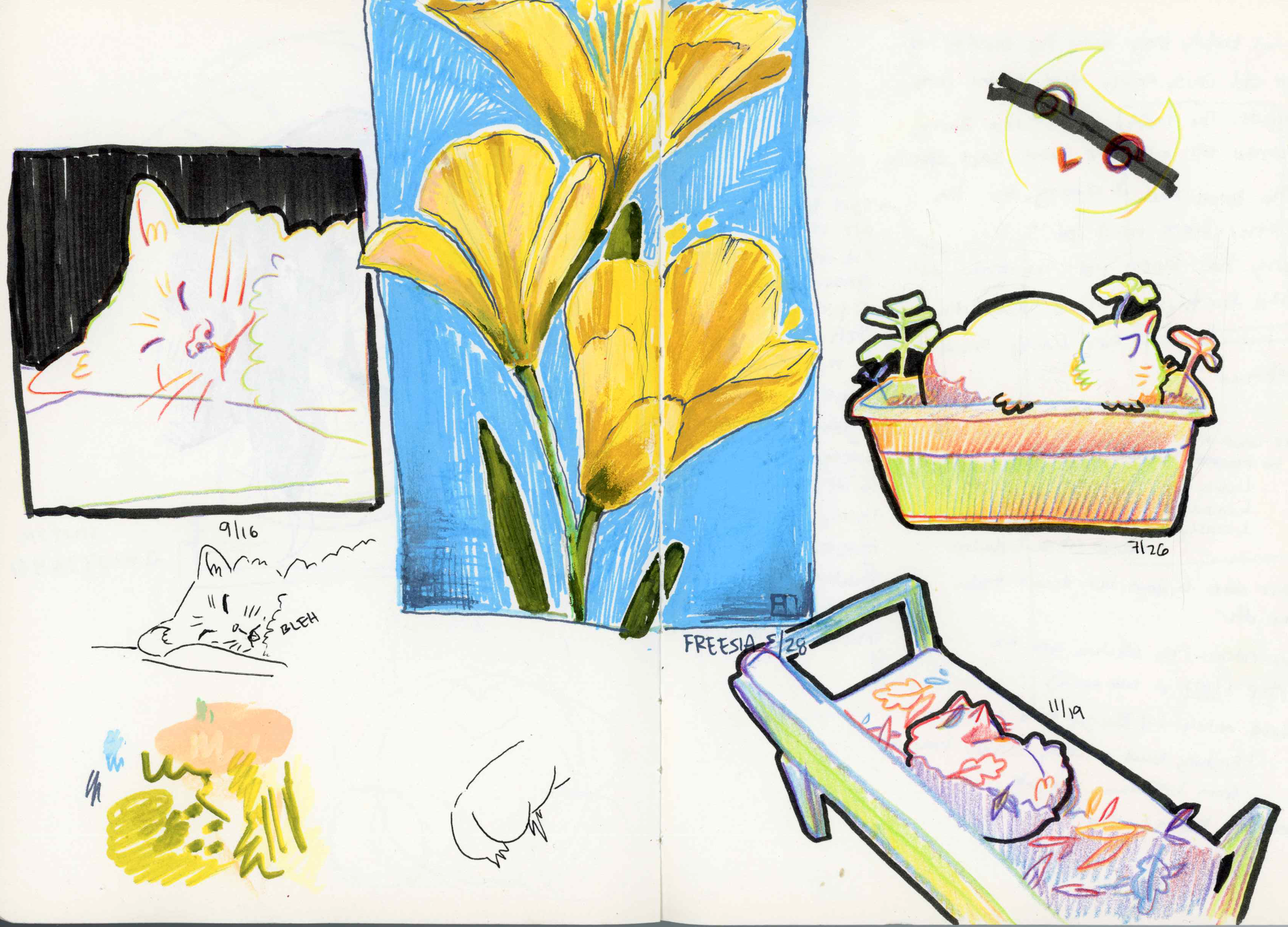 A colorful drawing of multiple cats in different scenes: a sleeping cat with black background, a close-up of a gardenia flower, a cat lying in a cardboard box with plants, a cat in a bed with leaves, a cat in a bed with a ladder, a sleeping cat with 