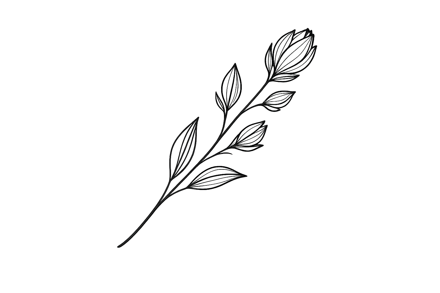 A black and white line drawing of a branch with elongated leaves and flower buds, set against a gray gradient background.