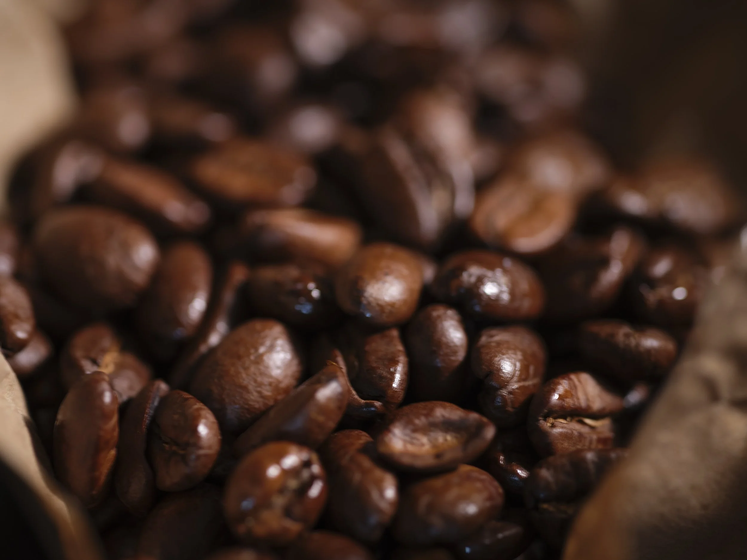 DSCF005703.13.2026 Macro Coffee Beans on Paper.jpg
