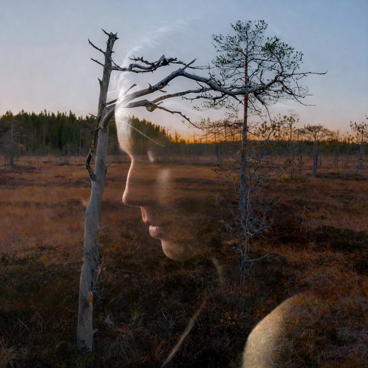 Maisemaku ja ihmisen kasvot, jotka ovat sekakuvassa, jossa metsän ja taivaan taustalla näkyy ikään kuin ihmisen kasvot, jotka sekoittuvat kierrätyspuiden ja luonnonympäristön kanssa.