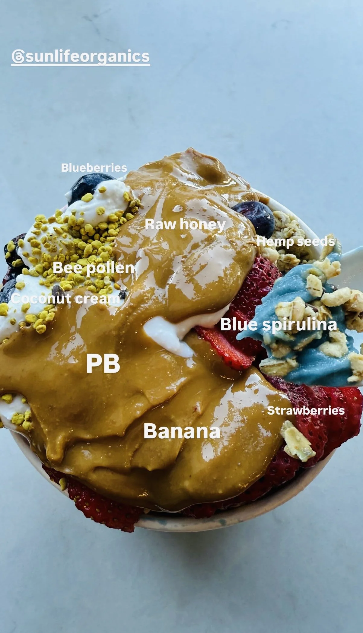 A bowl of frozen yogurt topped with blueberries, strawberries, banana slices, blue spirulina, coconut cream, bee pollen, hemp seeds, raw honey, and peanut butter, with the Instagram handle '@sunlifeorganics' in the top left corner.