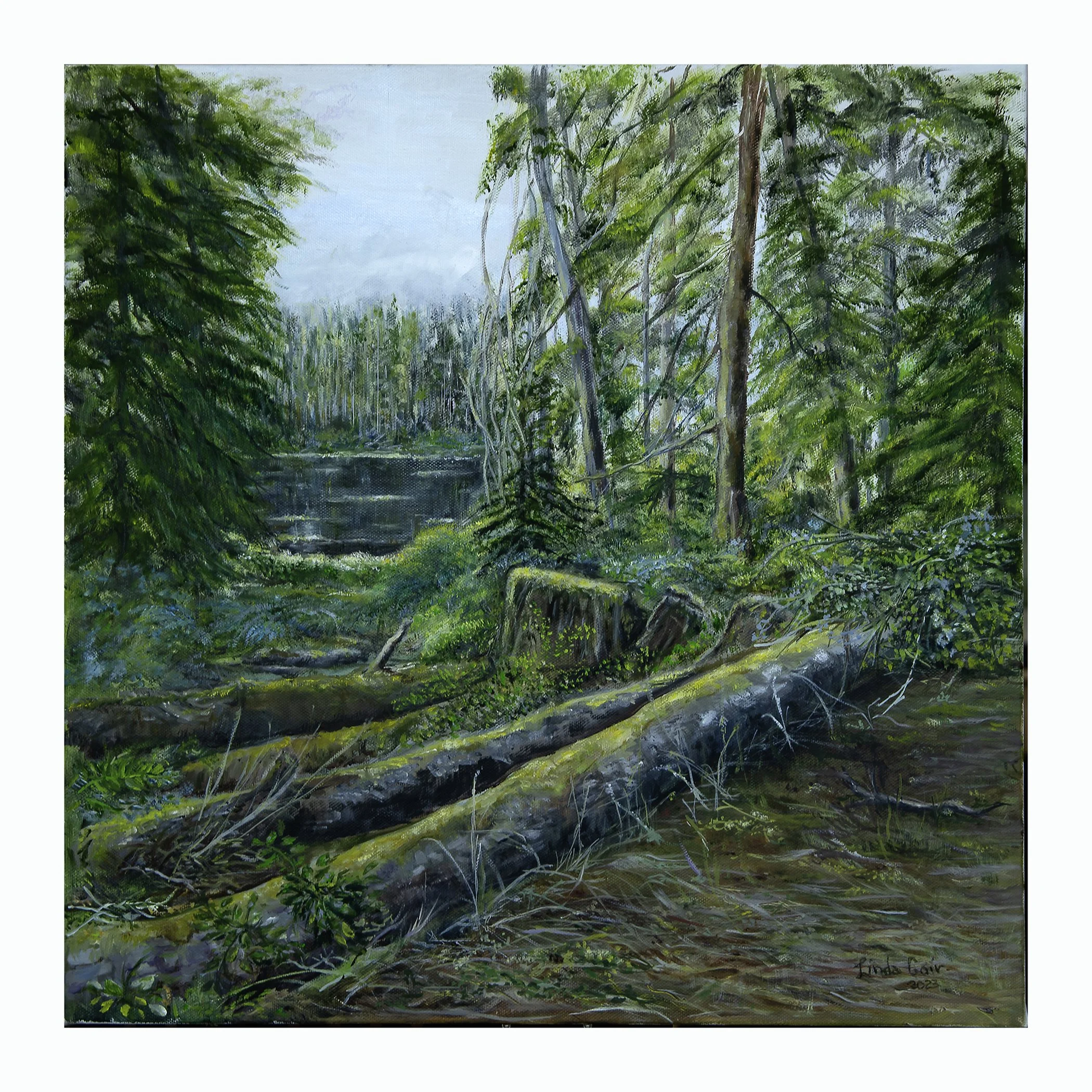 Fallen Logs      (price to be determined)