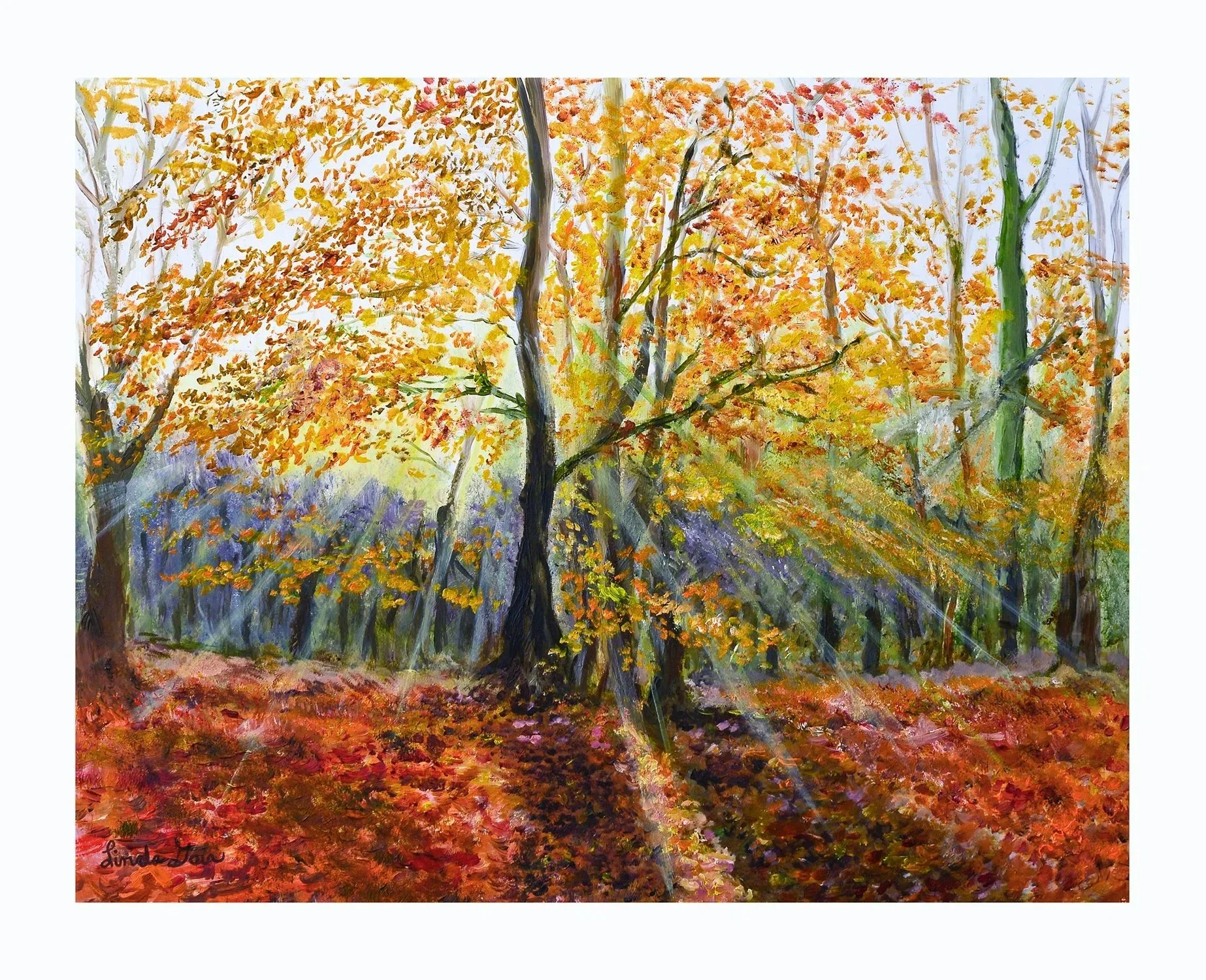 AutumRays11x14.jpg