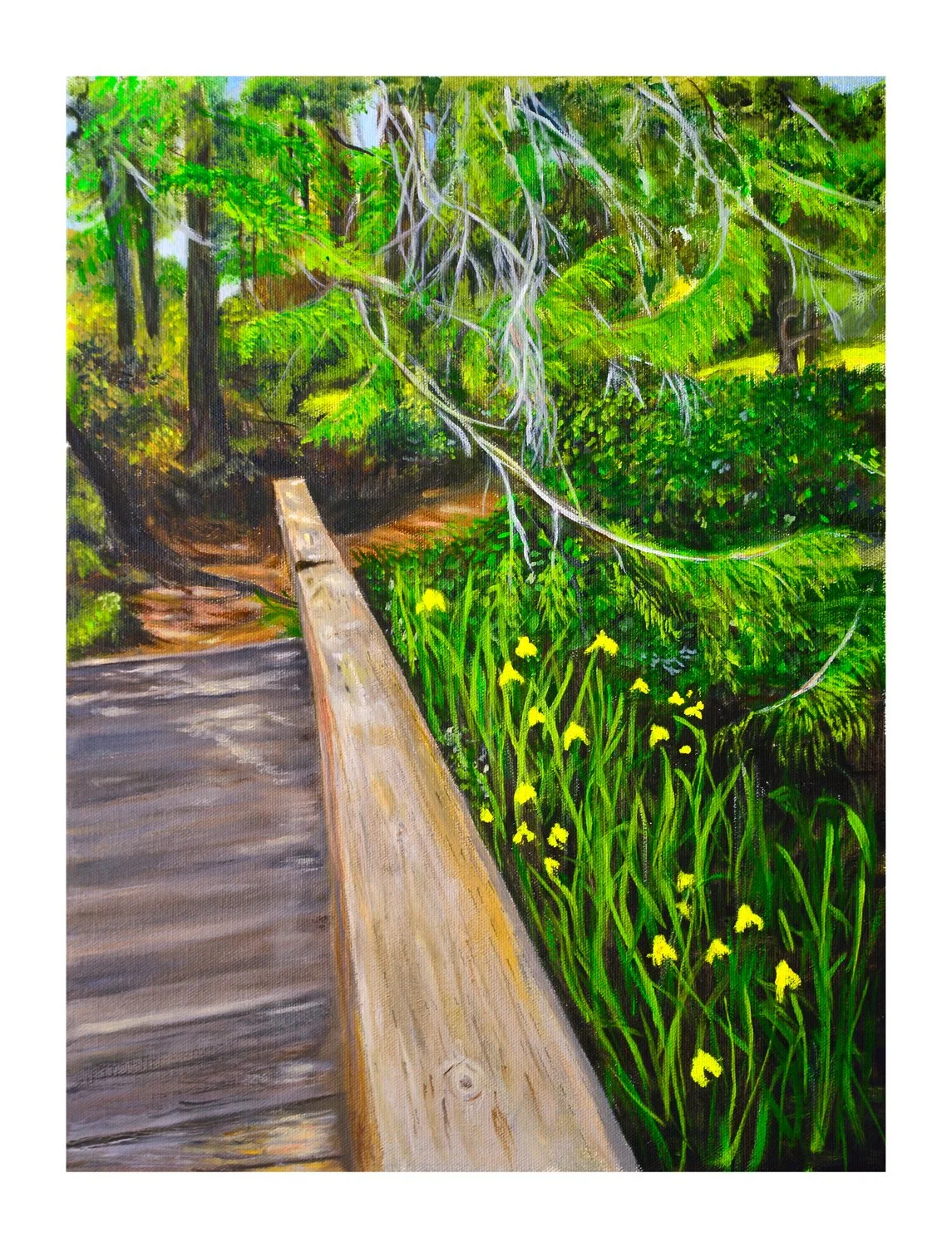 McCormick Woods Bridge