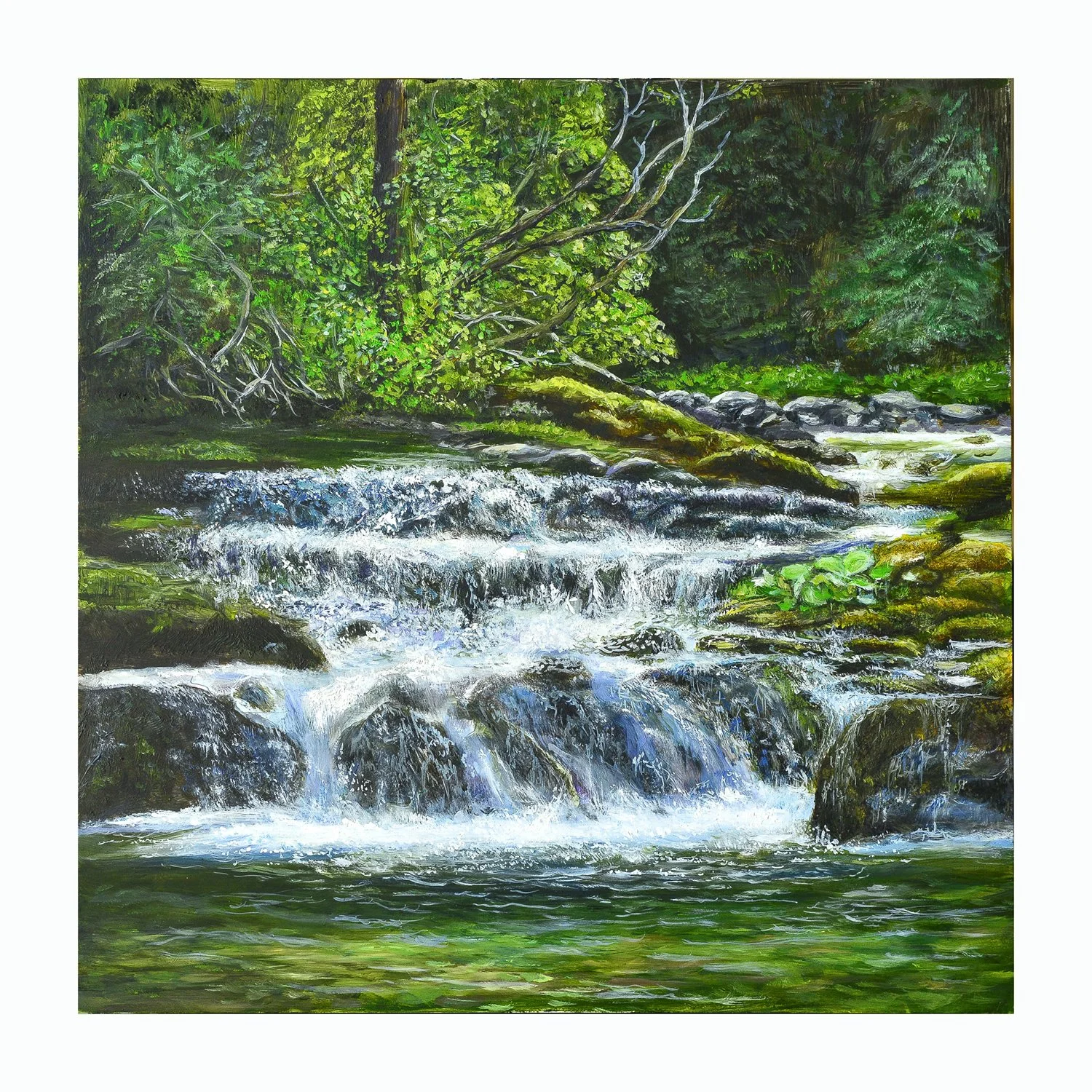 Waterfall      (price to be determined)