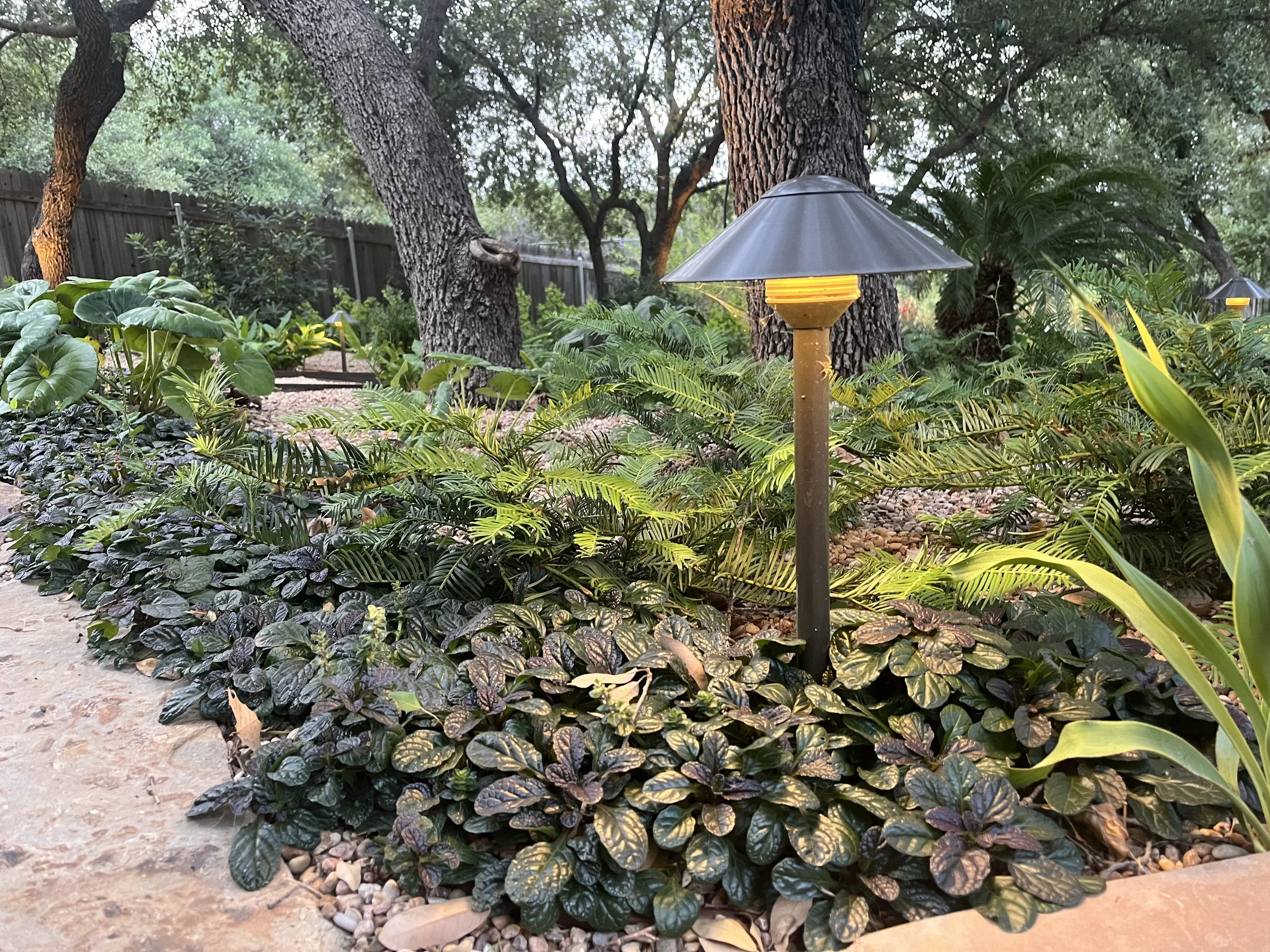 Outdoor Lighting