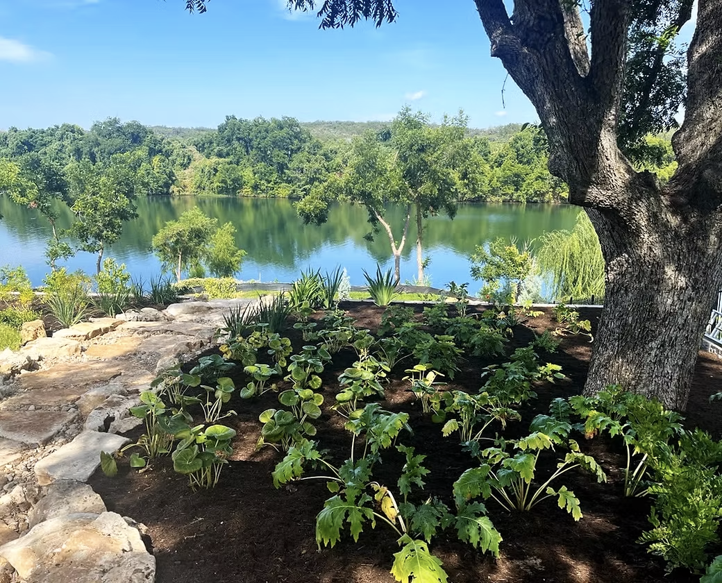 A lush garden with green plants, a large tree, and a stone pathway overlooking a lake surrounded by trees and a blue sky.