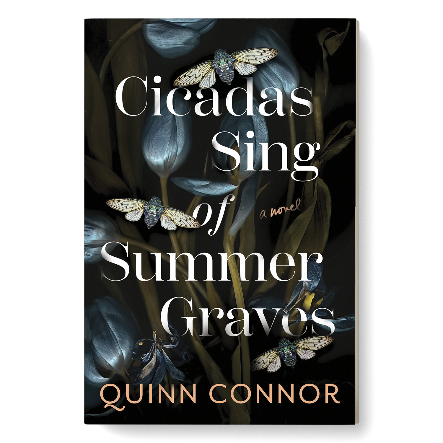 Cover design by Erin Fitzsimmons