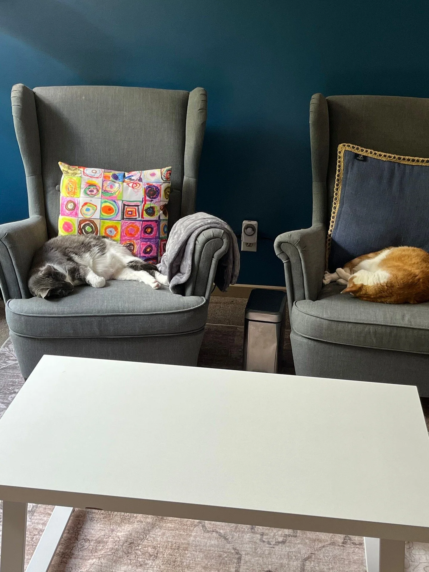 Apparently the afternoon caseload has been canceled due to a staff-wide mandatory nap. 😂🐈🐈

Earl &amp; Gray would like everyone to know that Northwest Mental Health Alliance takes rest, regulation, and comfortable seating VERY seriously.

They hav