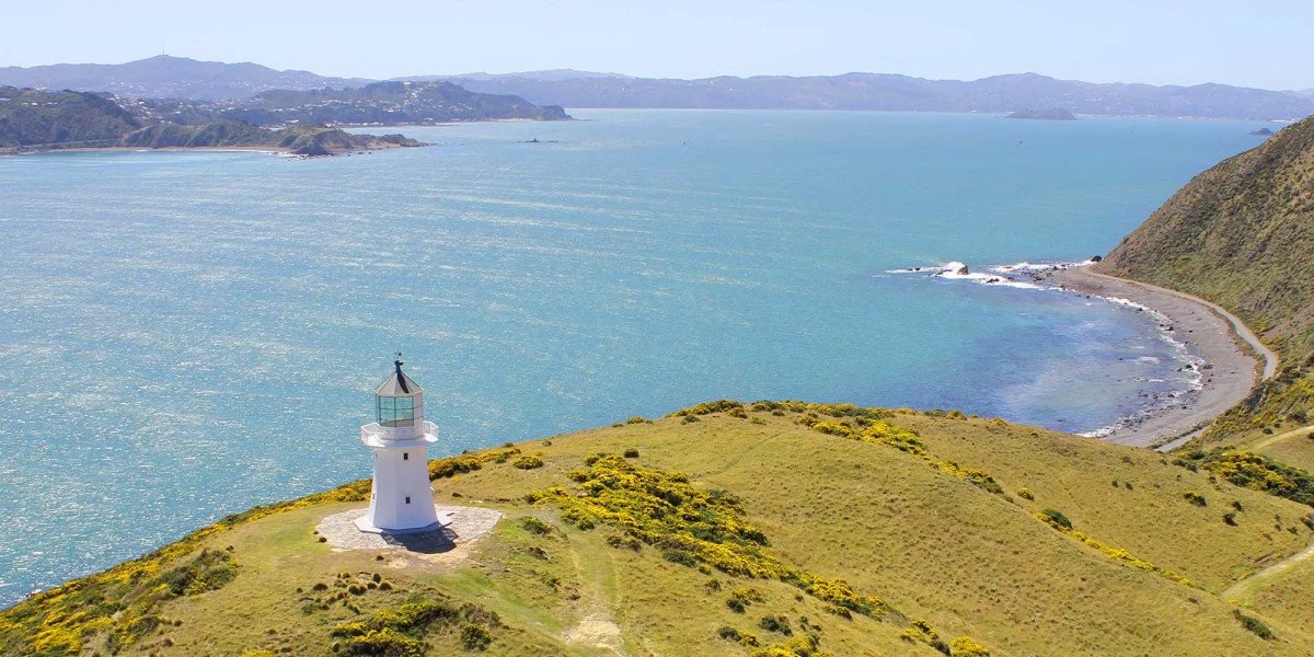 Pencarrow-Lighthouse__FocusFillWyIwLjAwIiwiMC4wMCIsMTIwMCw2MDBd.jpg