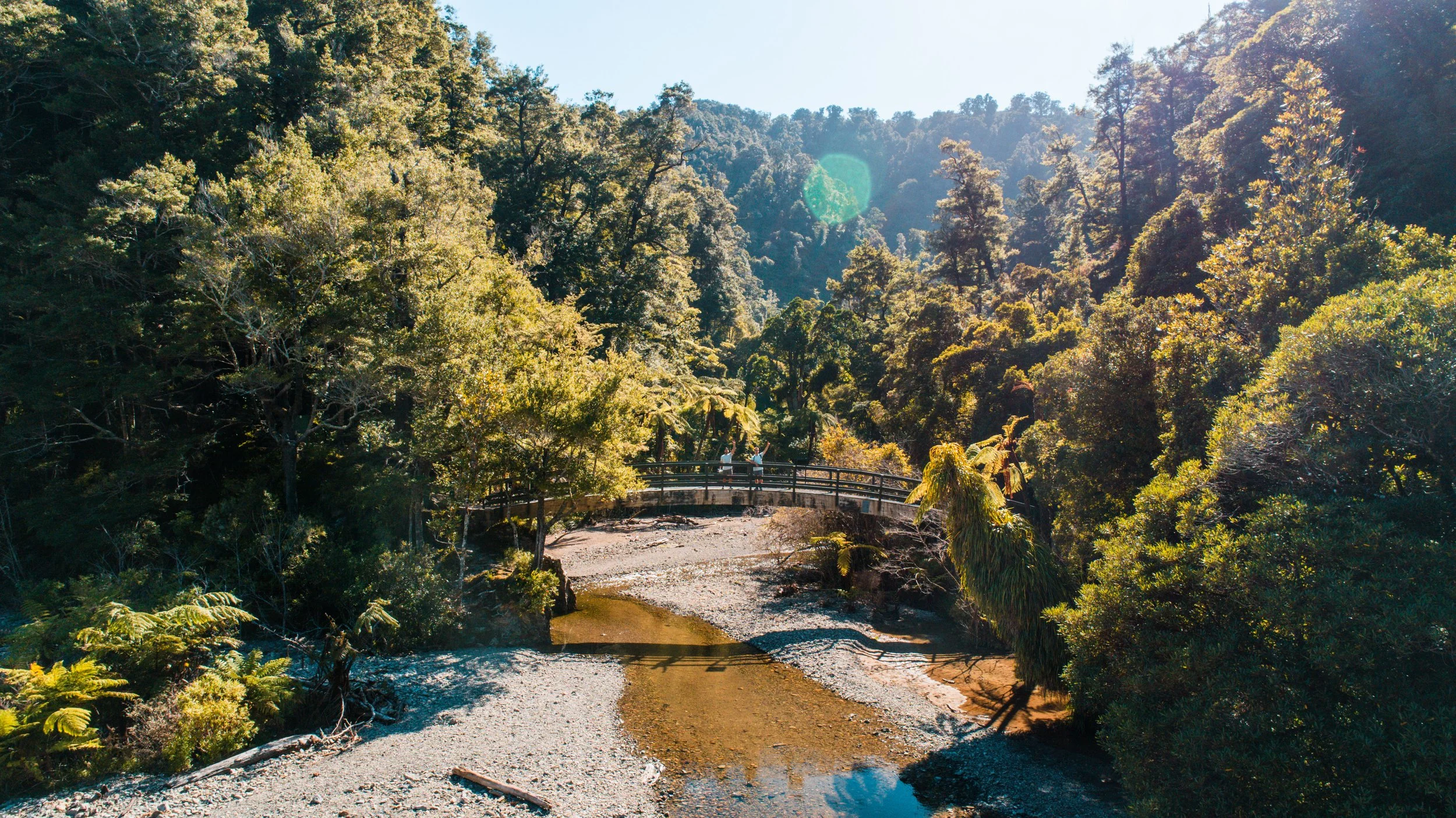 A wide shot of trees and a bridge on the Orongorongo Track and Valley, Remutaka Forest Park in Wainuiomata, New Zealand