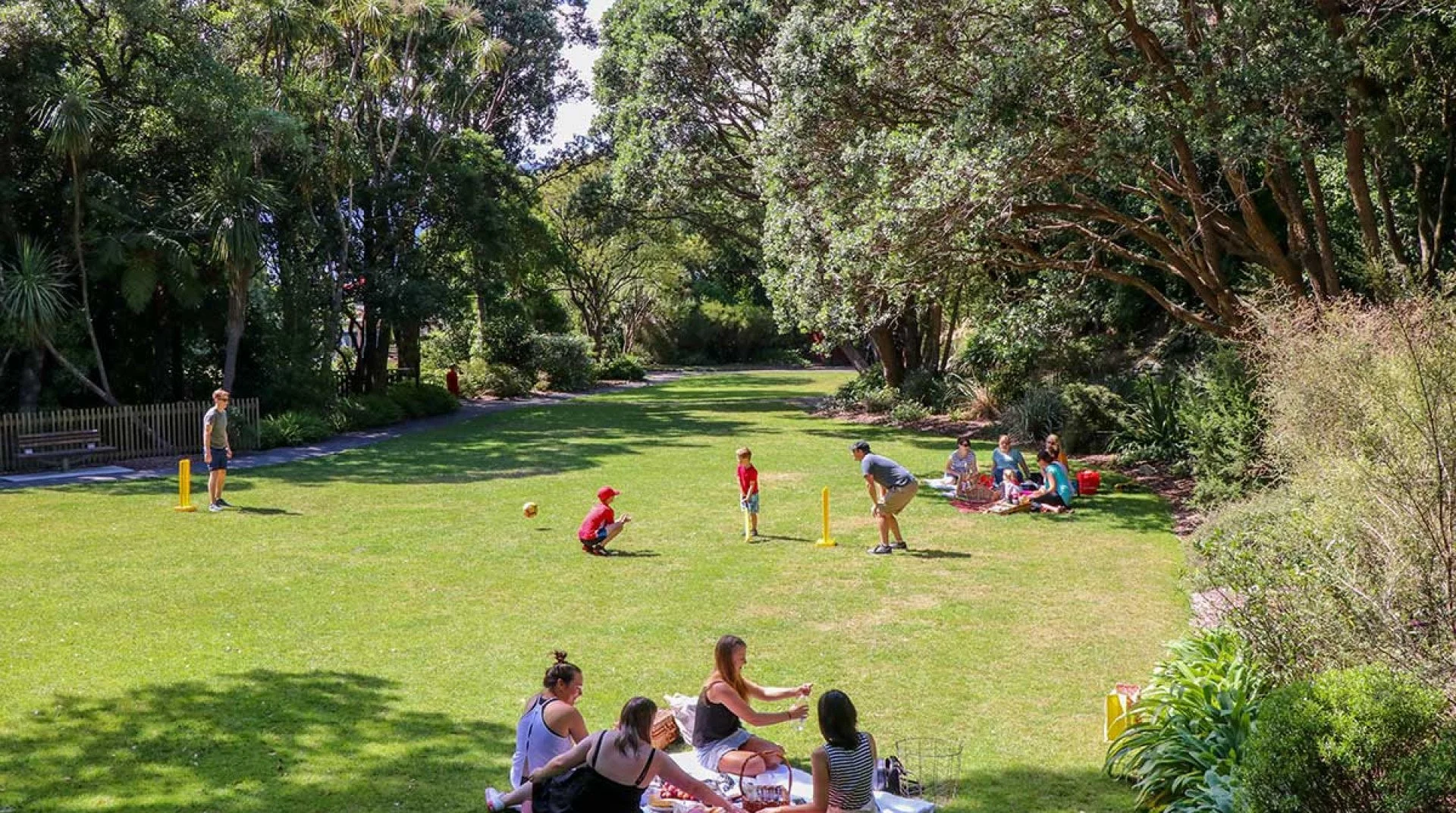People playing cricket and relaxing on blankets in Percy Scenic Reserve, surrounded by tall trees.
