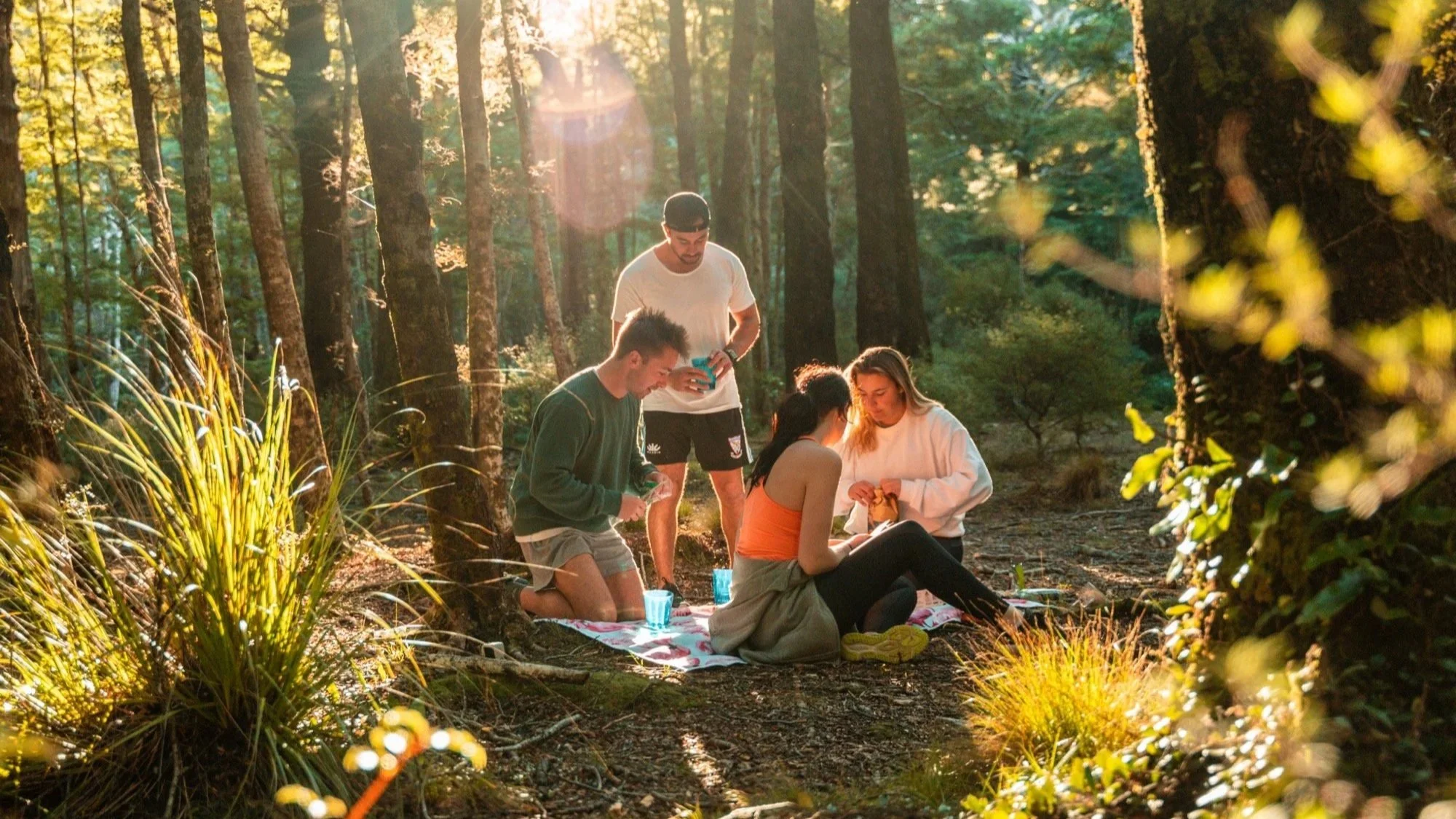 Surrounded by lush forest, four people set up a picnic in Butterfly Creek in East Harbour Regional Park