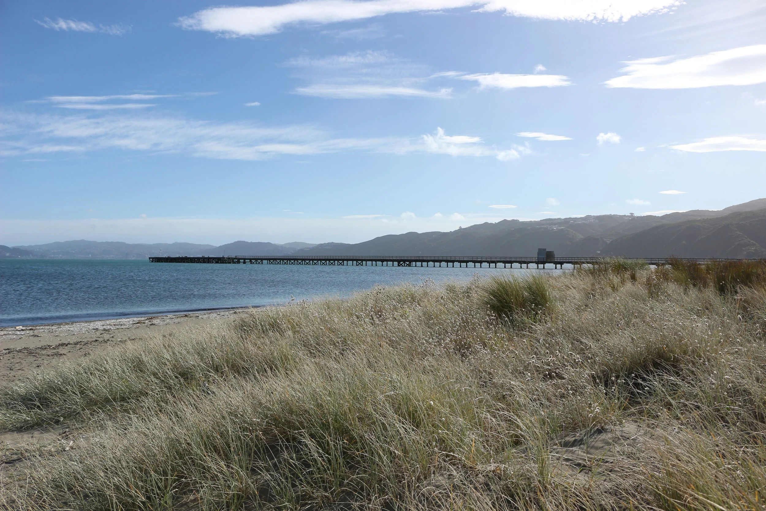 A view of the wharf off Petone, looking back towards Wellington CBD