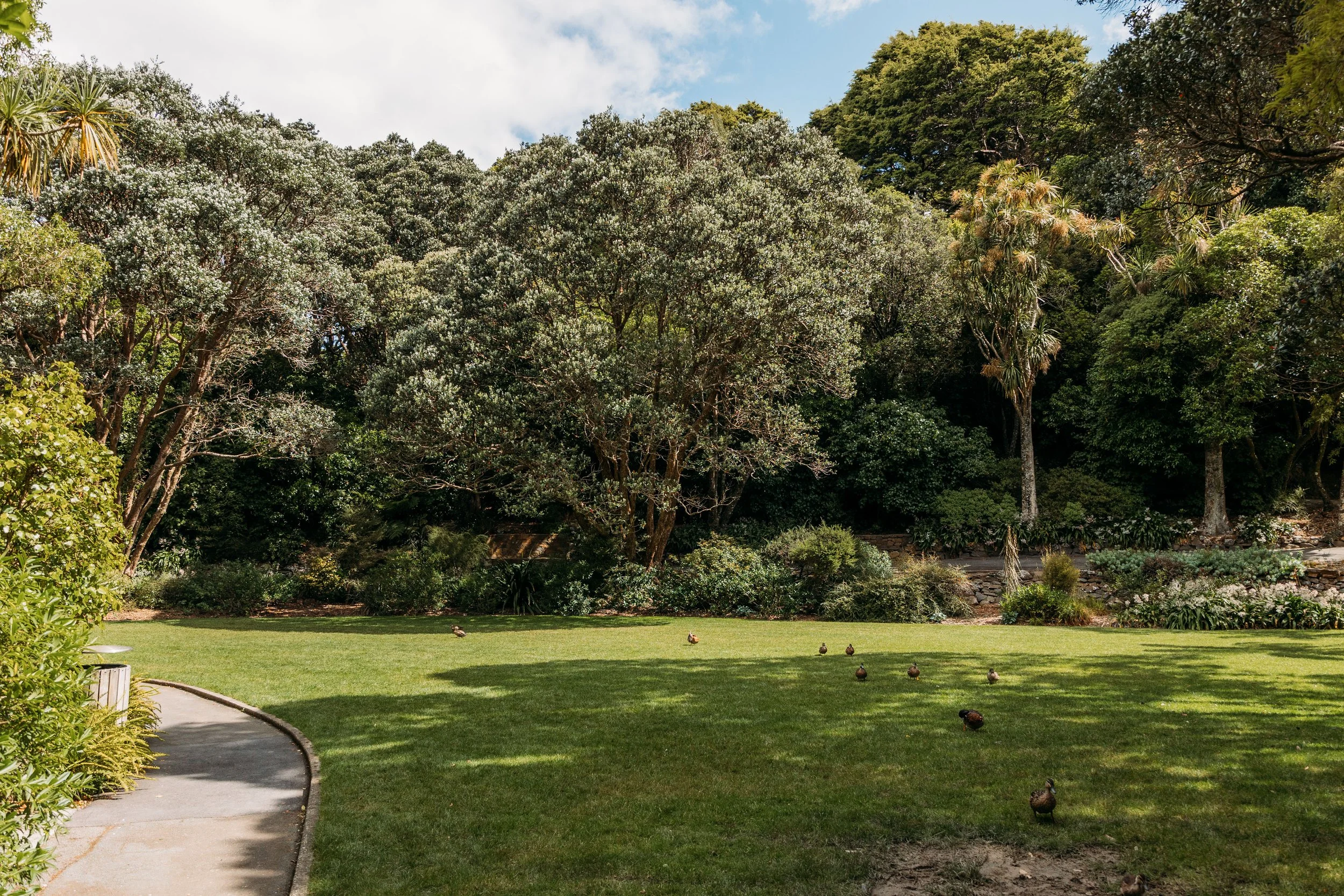Outdoor image of Percy Scenic Reserve, shows lush greenery and trees